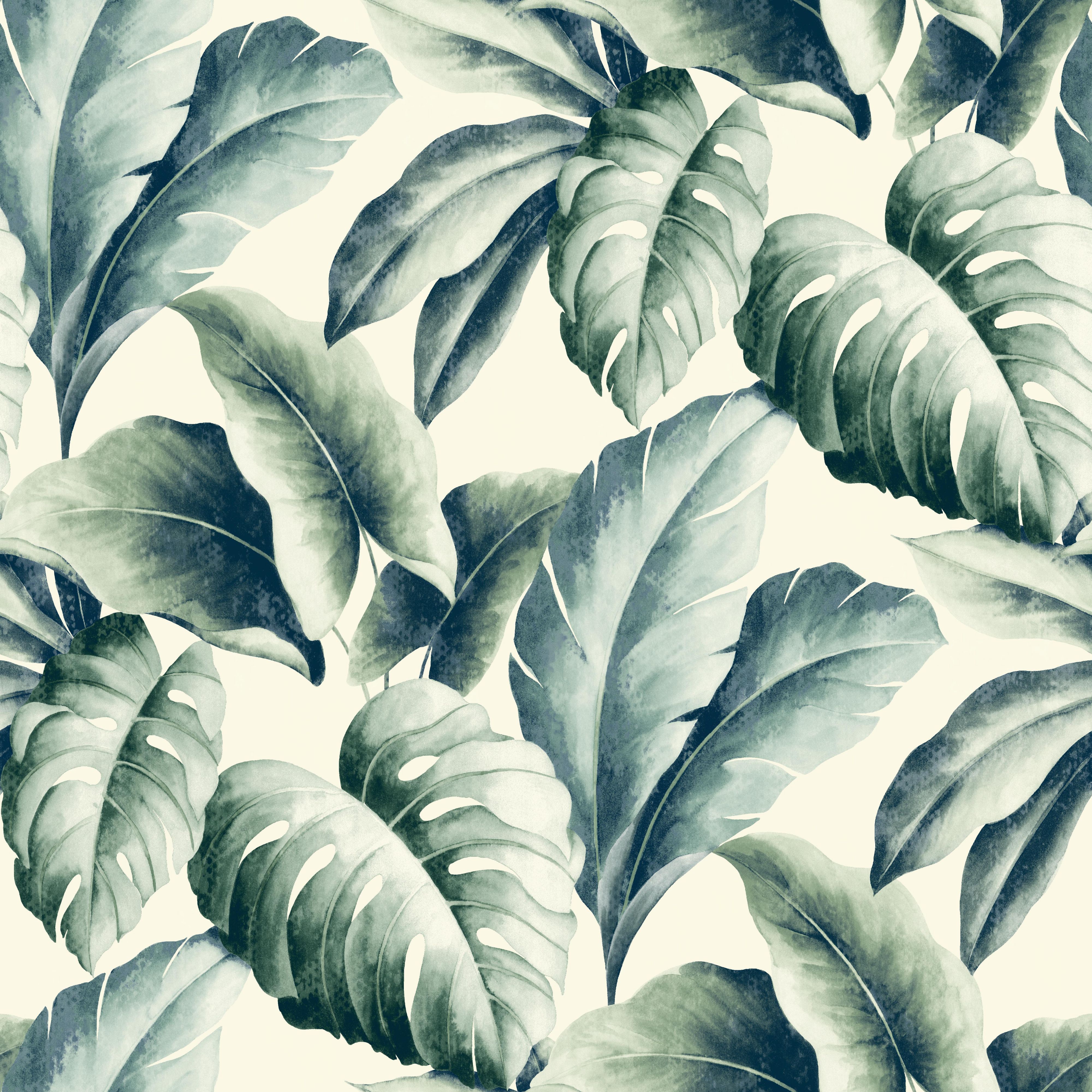 Palm Tree Leaf Wallpapers