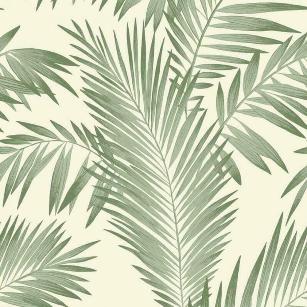 Palm Tree Leaves Wallpapers