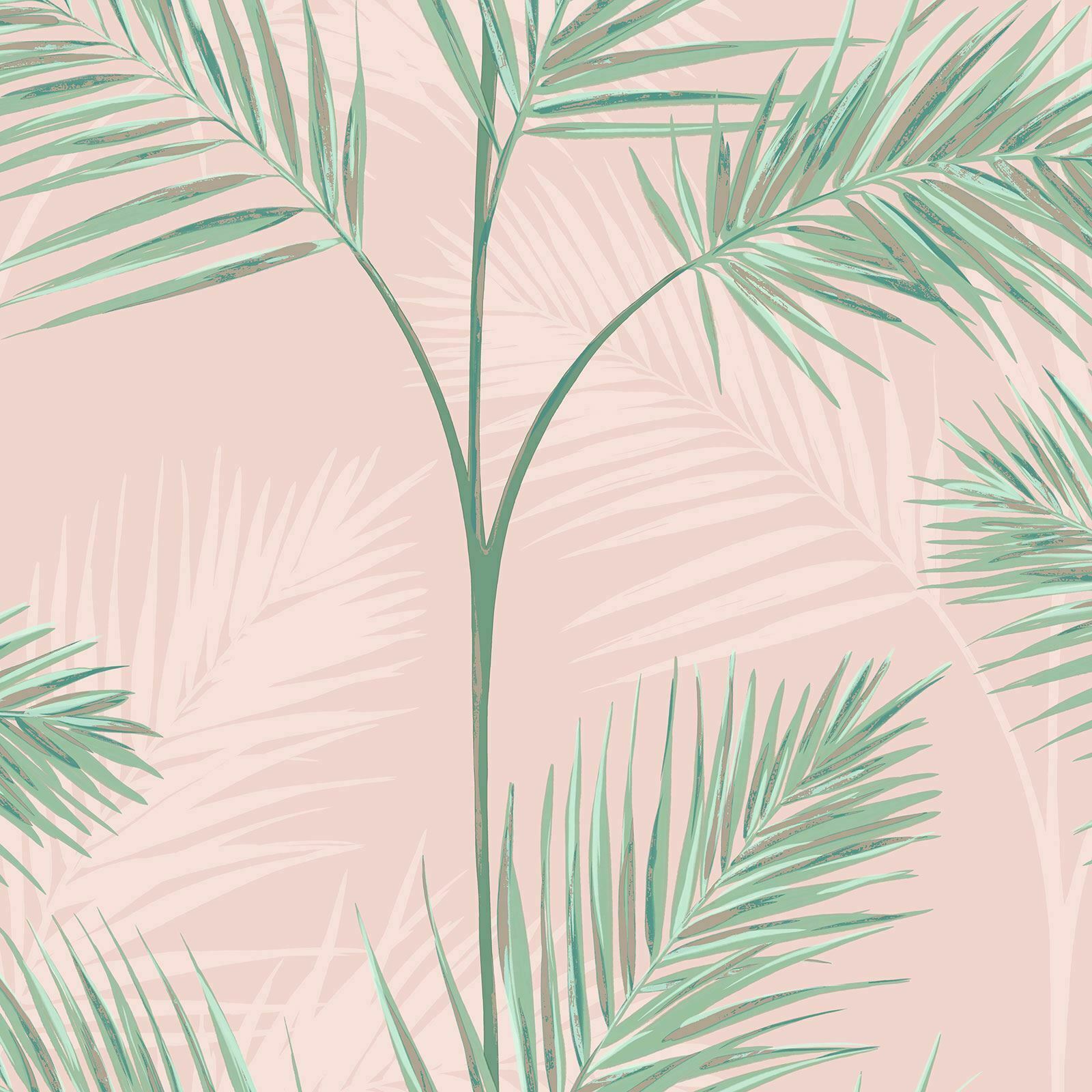 Palm Tree Leaves Wallpapers