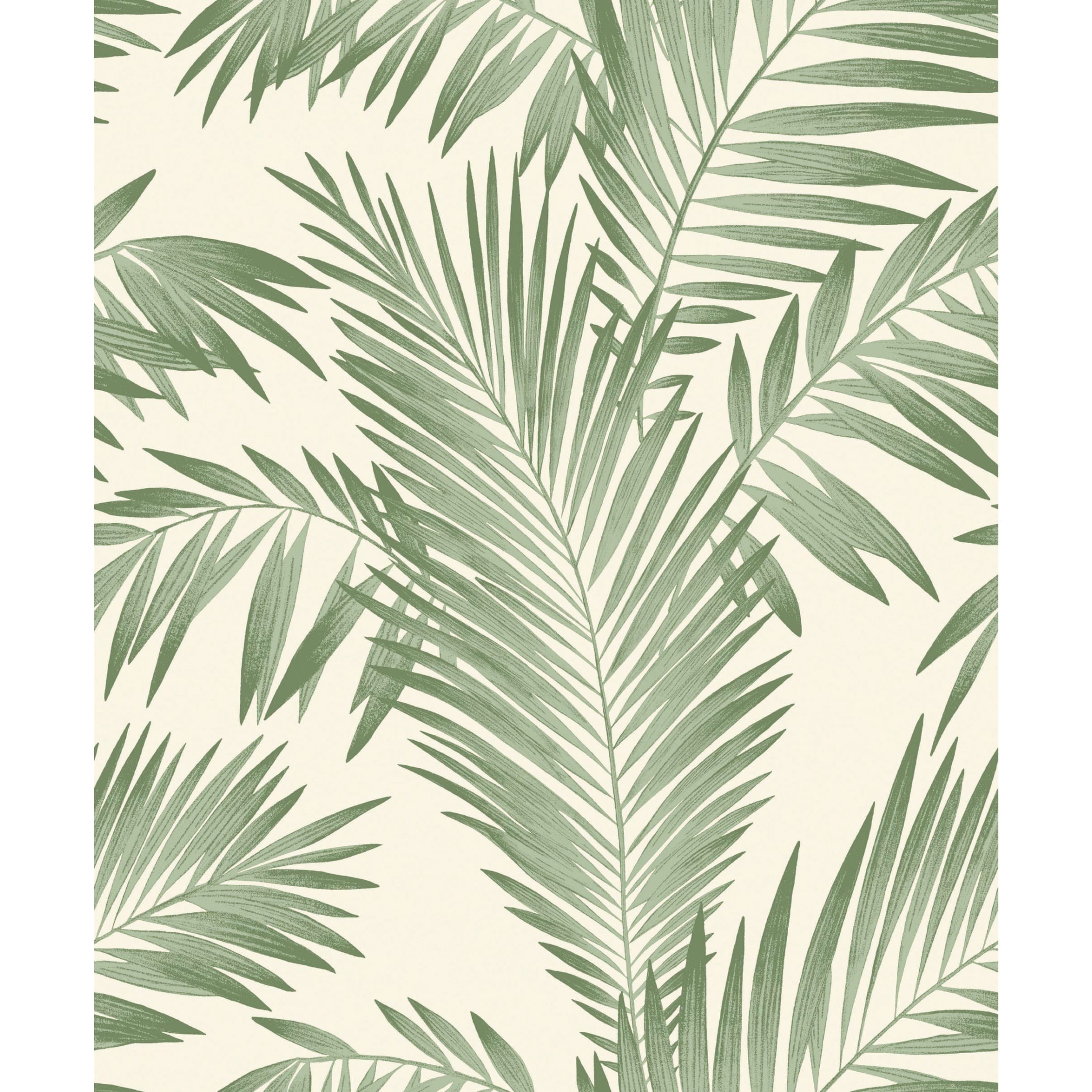 Palm Tree Leaves Wallpapers