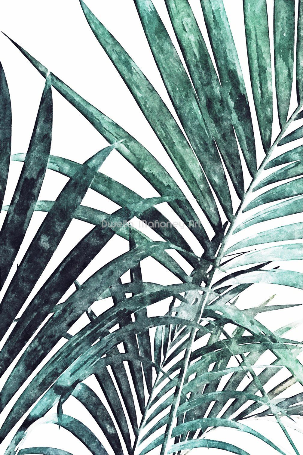 Palm Tree Leaves Wallpapers