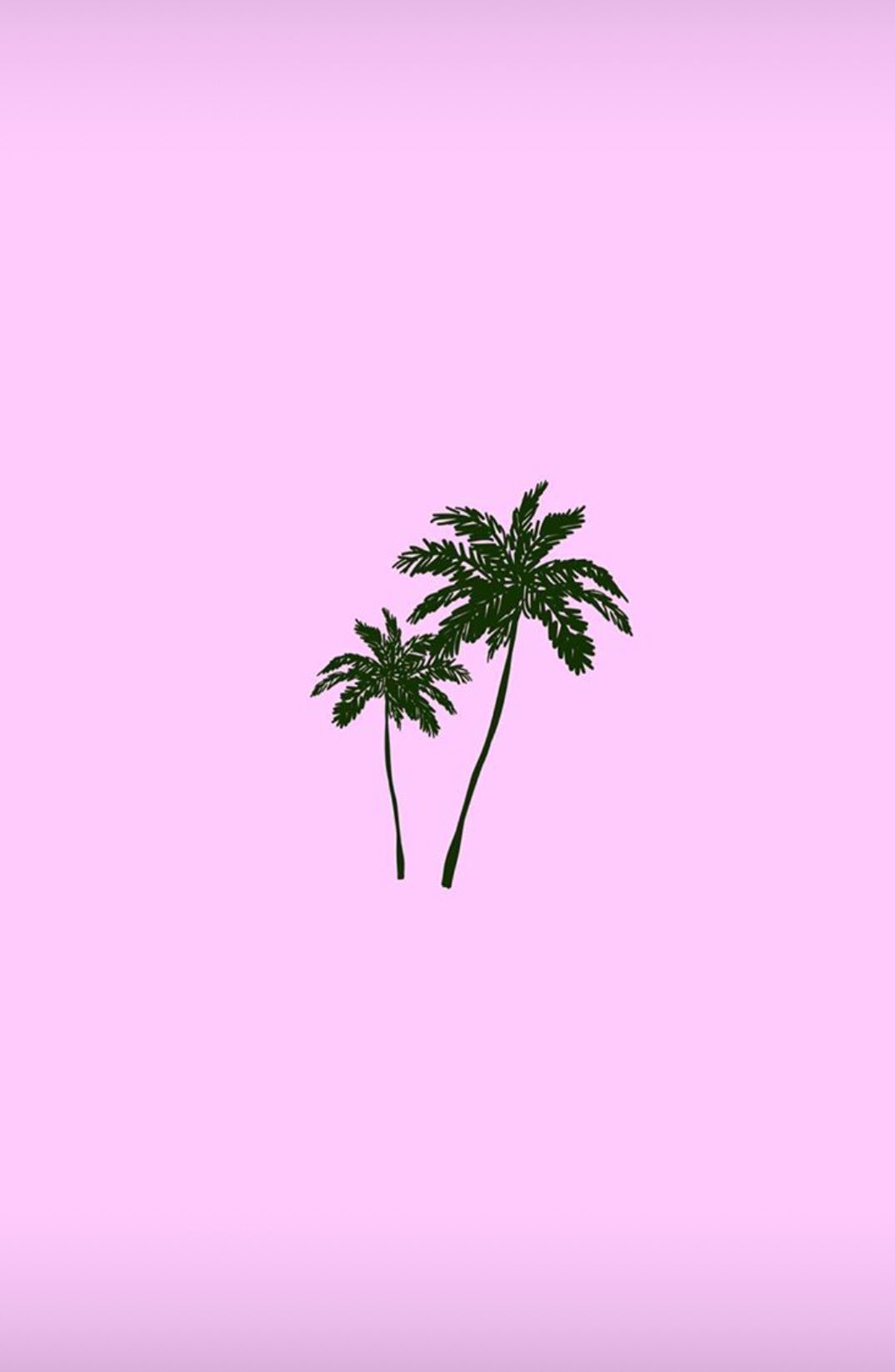 Palm Trees Wallpapers