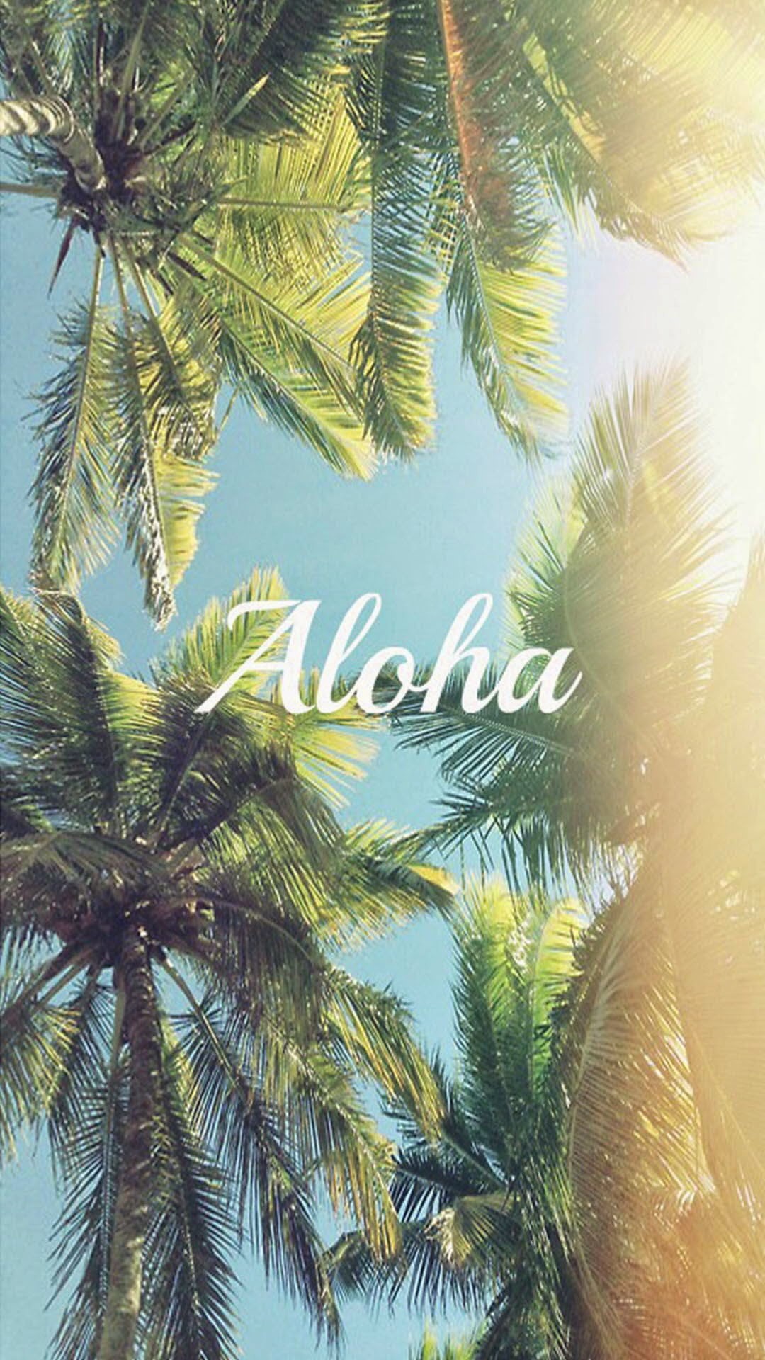 Palm Trees Wallpapers