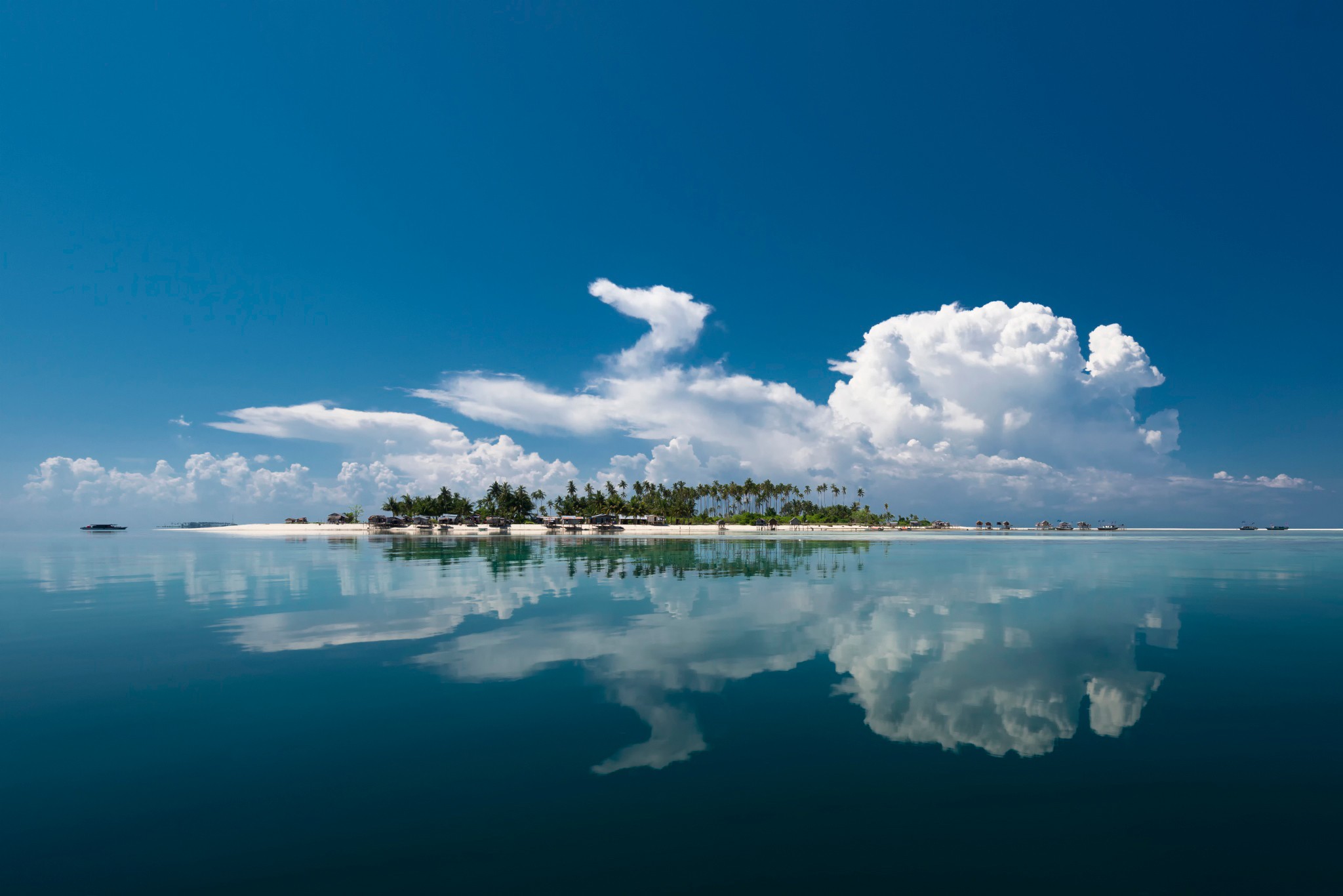 Palm Trees In The Middle Of Ocean Wallpapers