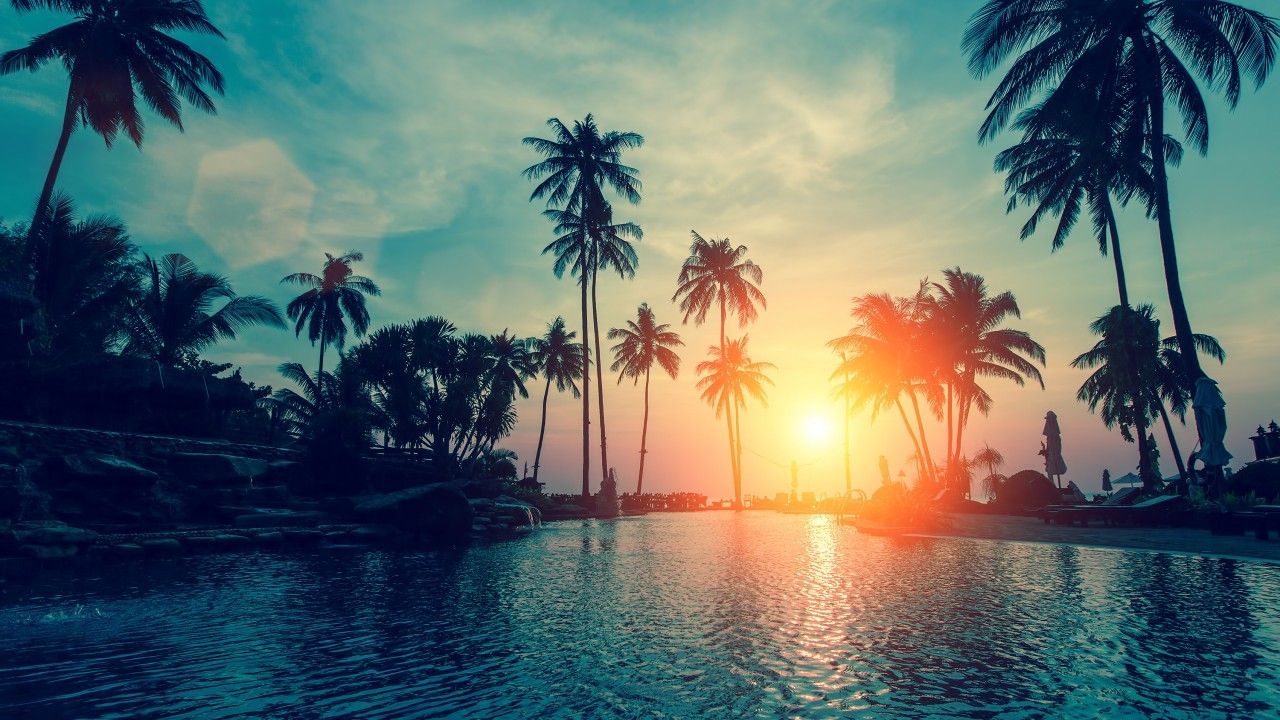 Palm Trees Reflection Sunset Wallpapers