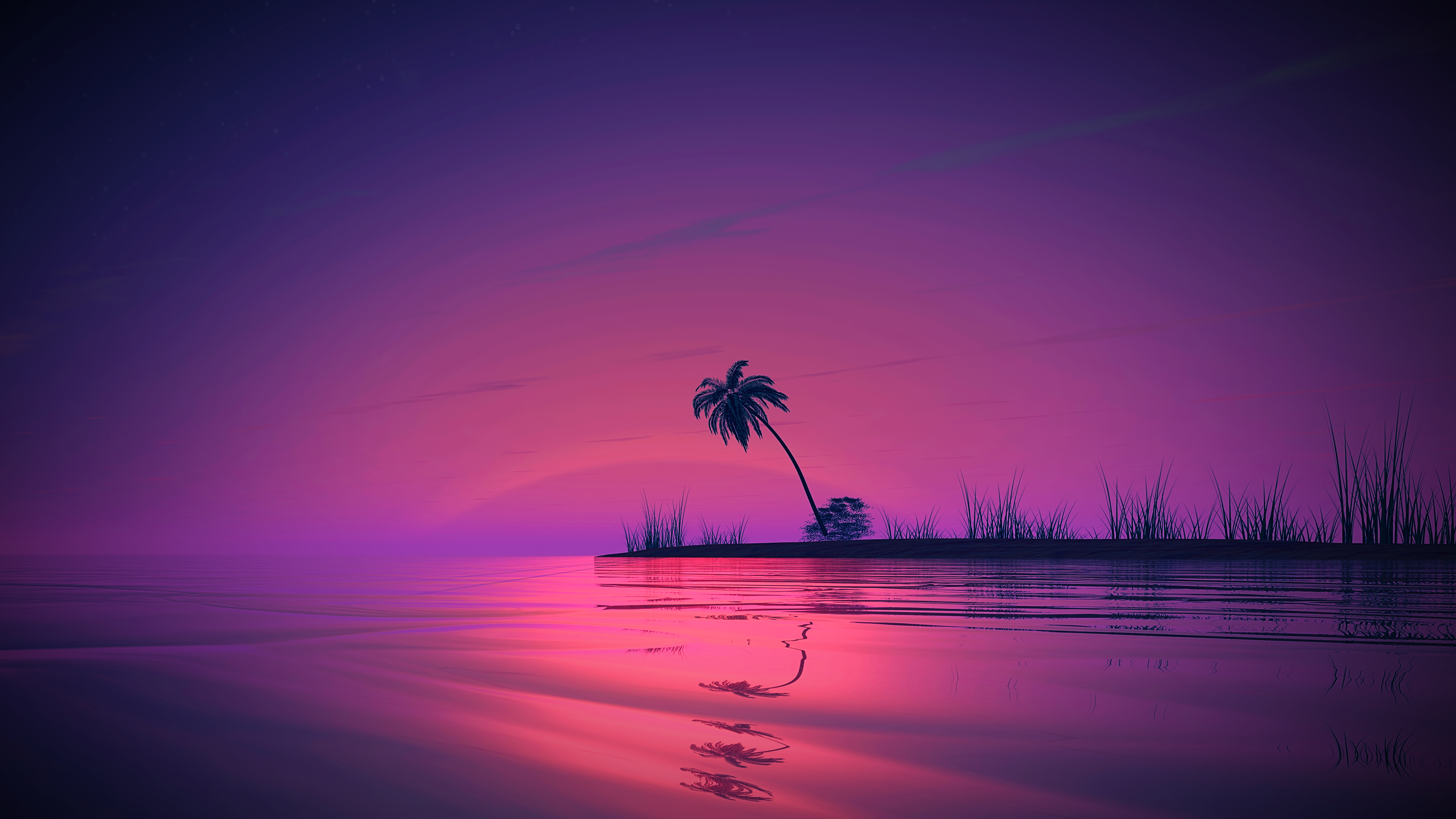 Palm Trees Reflection Sunset Wallpapers