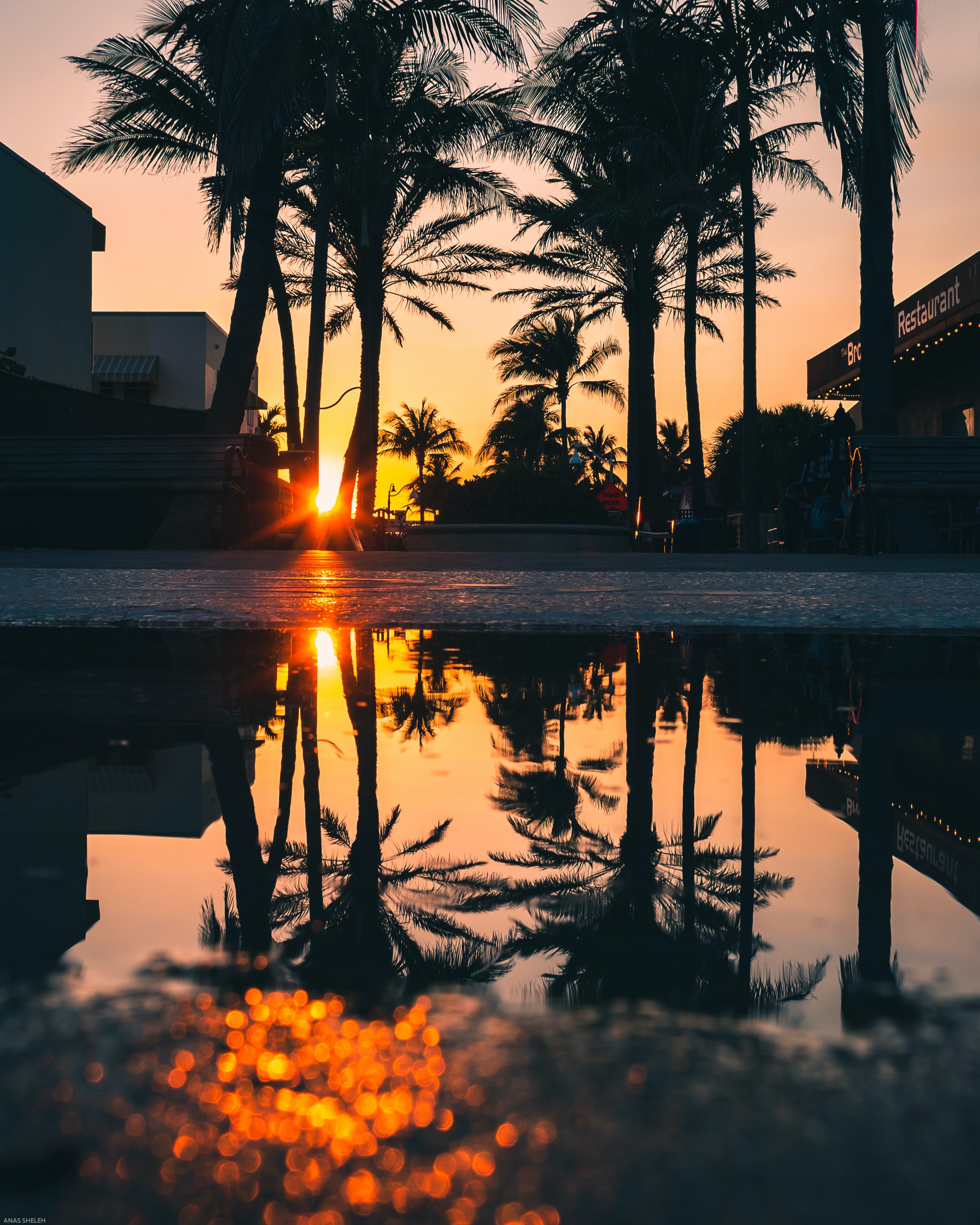 Palm Trees Reflection Sunset Wallpapers