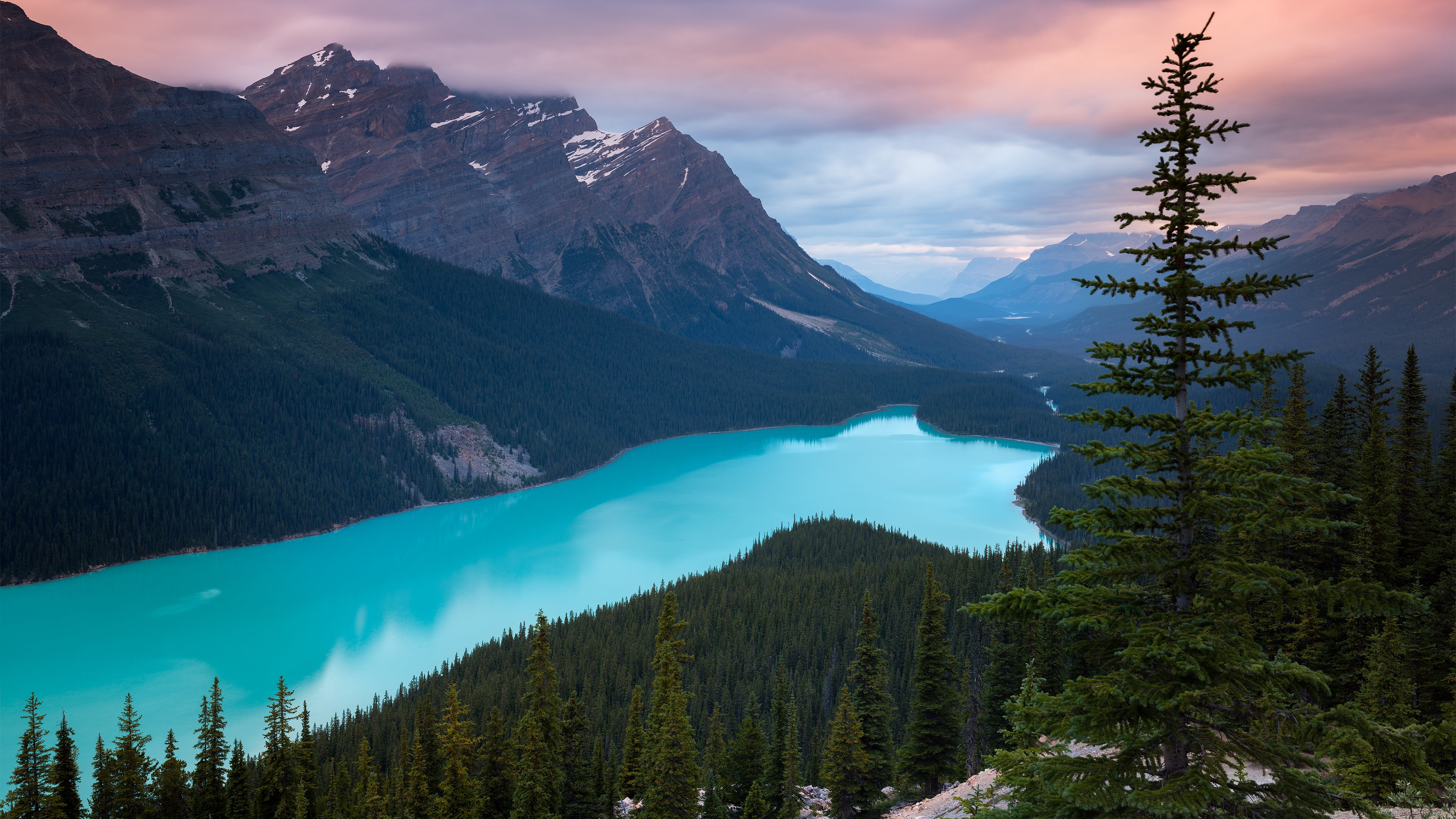 Peyto Lake Canada Mountains Wallpapers