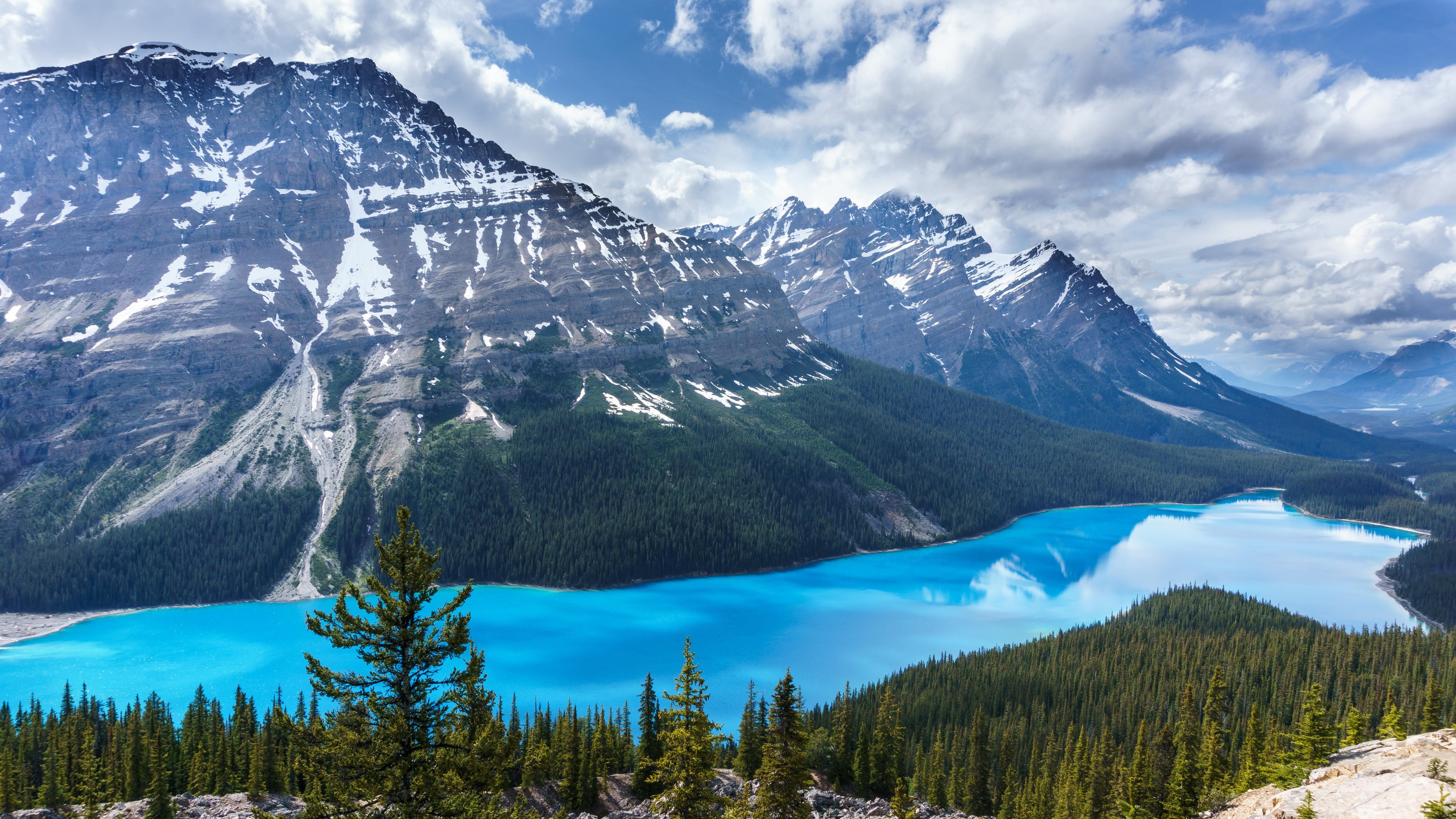 Peyto Lake Canada Mountains Wallpapers