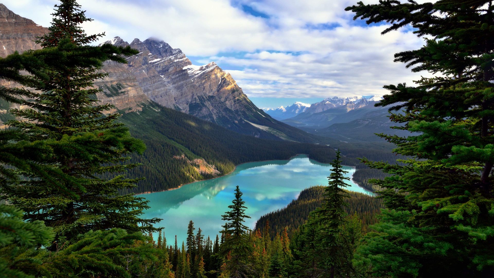 Peyto Lake Canada Mountains Wallpapers