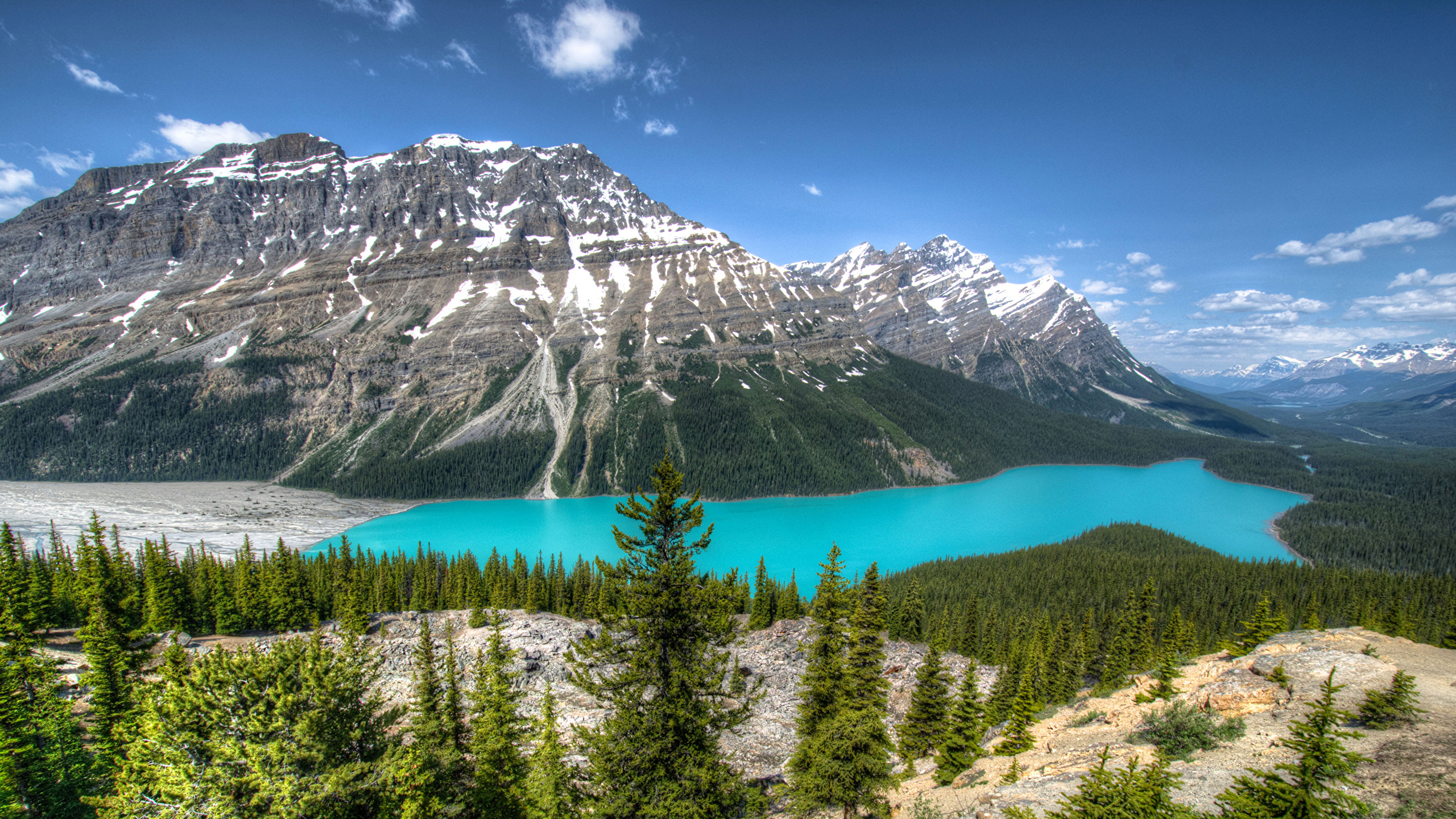 Peyto Lake Canada Mountains Wallpapers