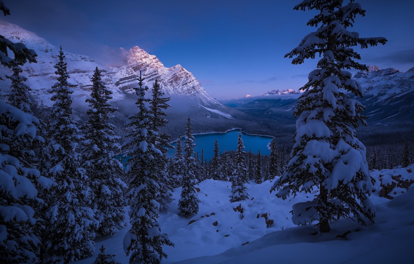 Peyto Lake Canada Mountains Wallpapers