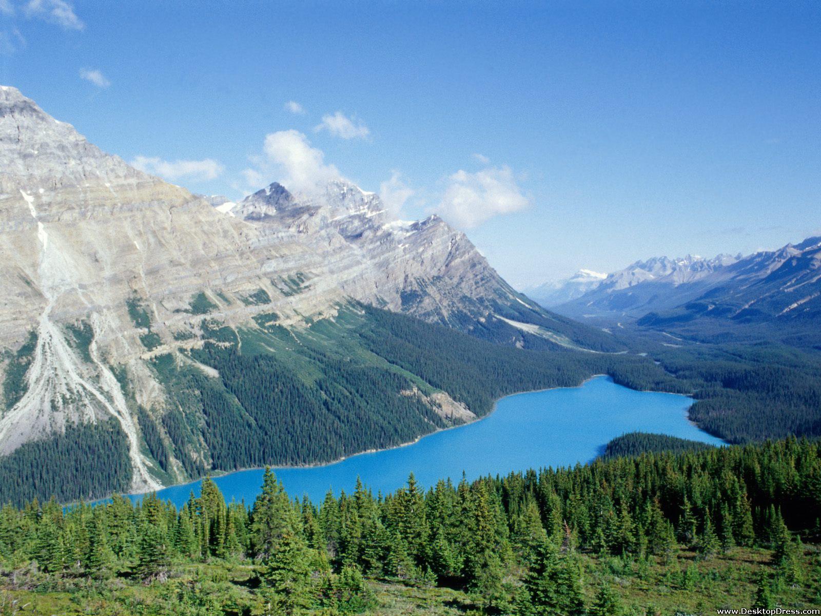 Peyto Lake Canada Mountains Wallpapers