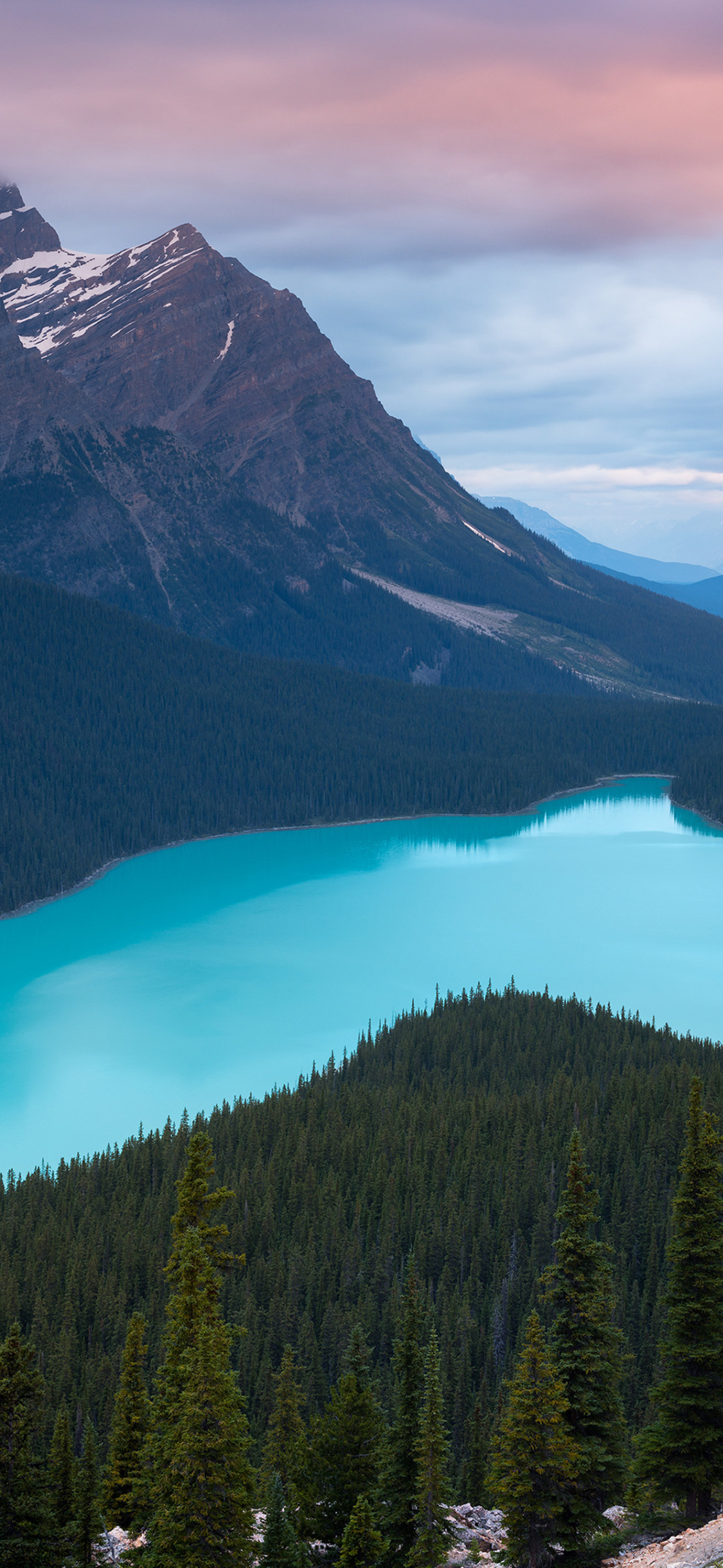 Peyto Lake Canada Mountains Wallpapers