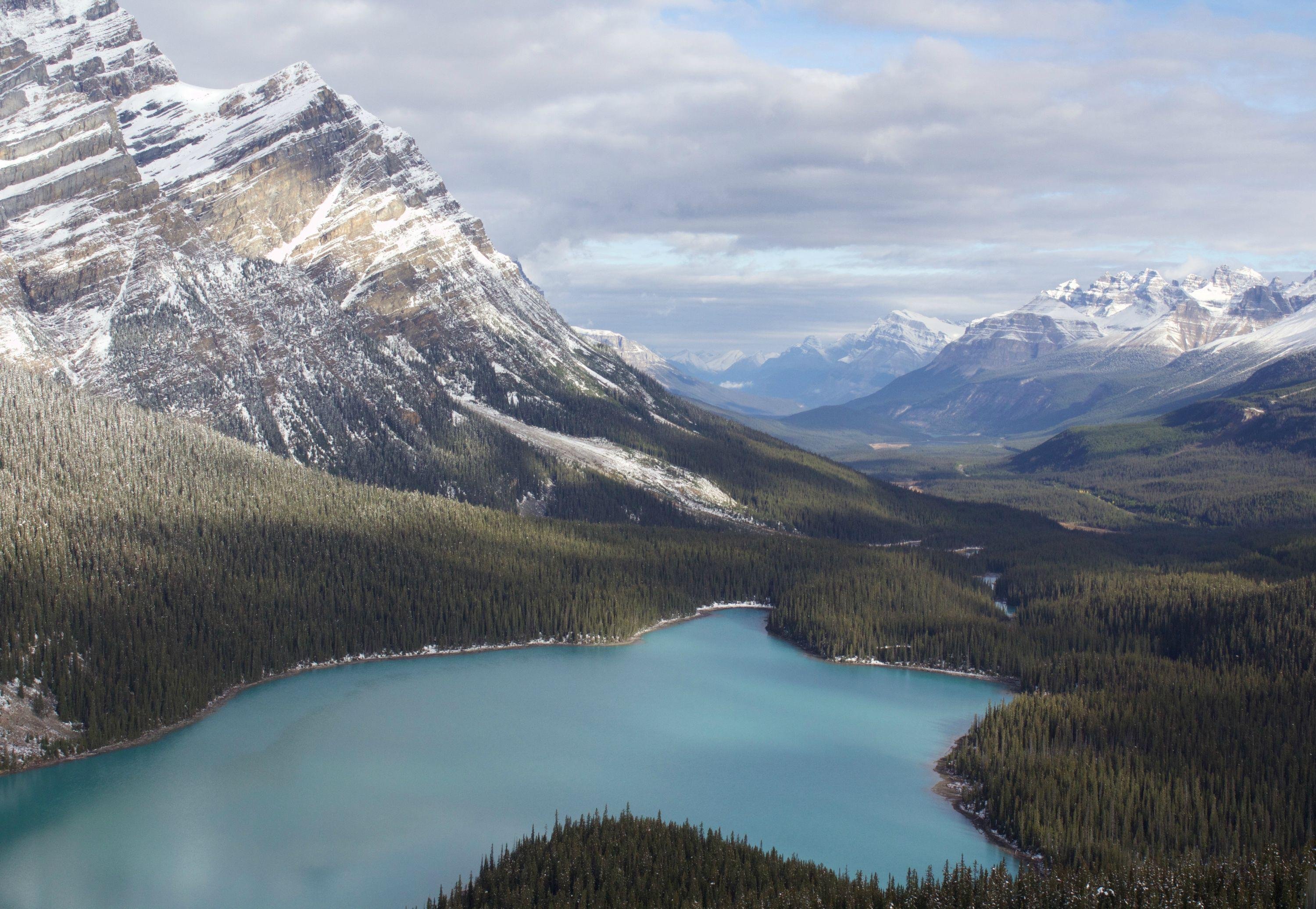 Peyto Lake Canada Mountains Wallpapers