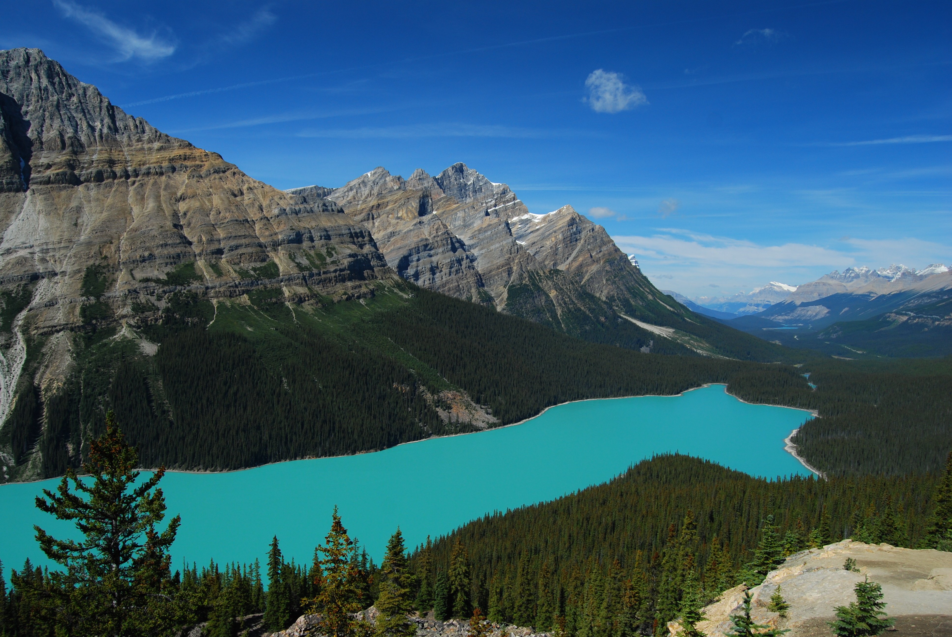 Peyto Lake Canada Mountains Wallpapers