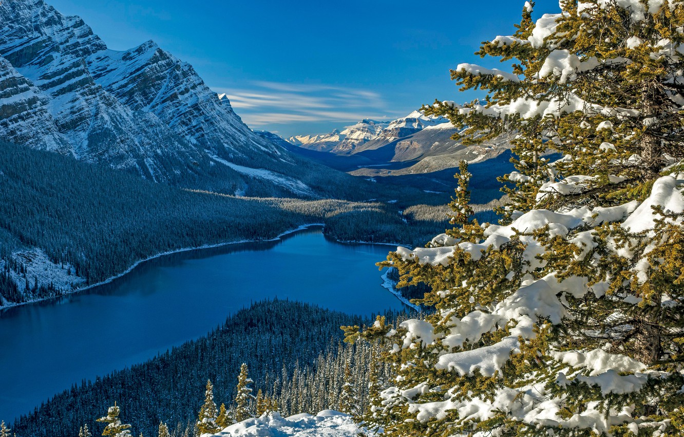 Peyto Lake Canada Mountains Wallpapers