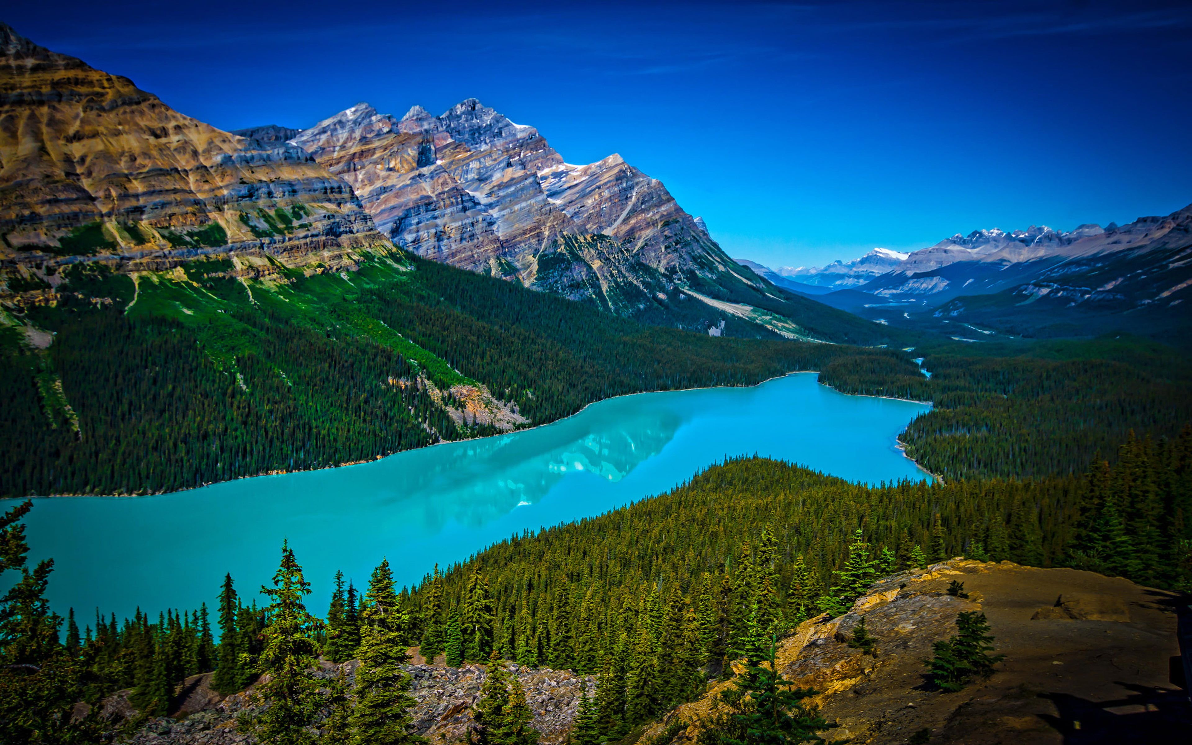 Peyto Lake Canada Mountains Wallpapers