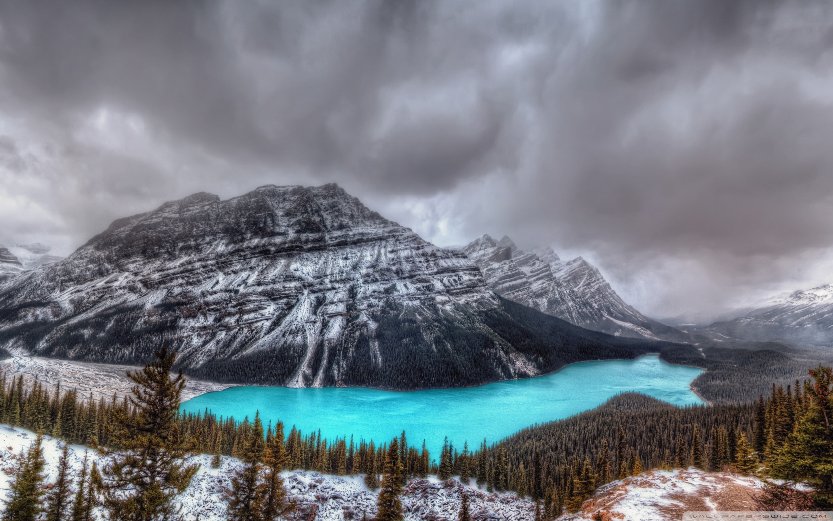 Peyto Lake Canada Mountains Wallpapers