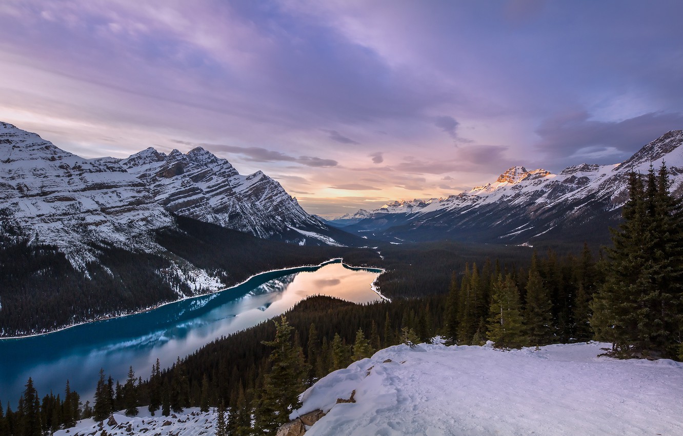 Peyto Lake Canada Mountains Wallpapers