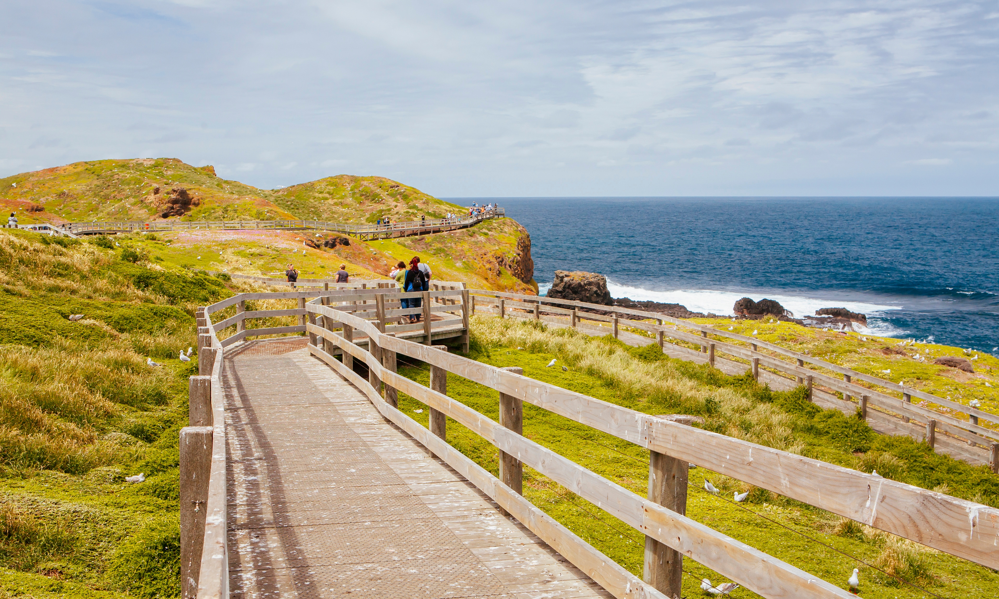 Phillip Island Wallpapers