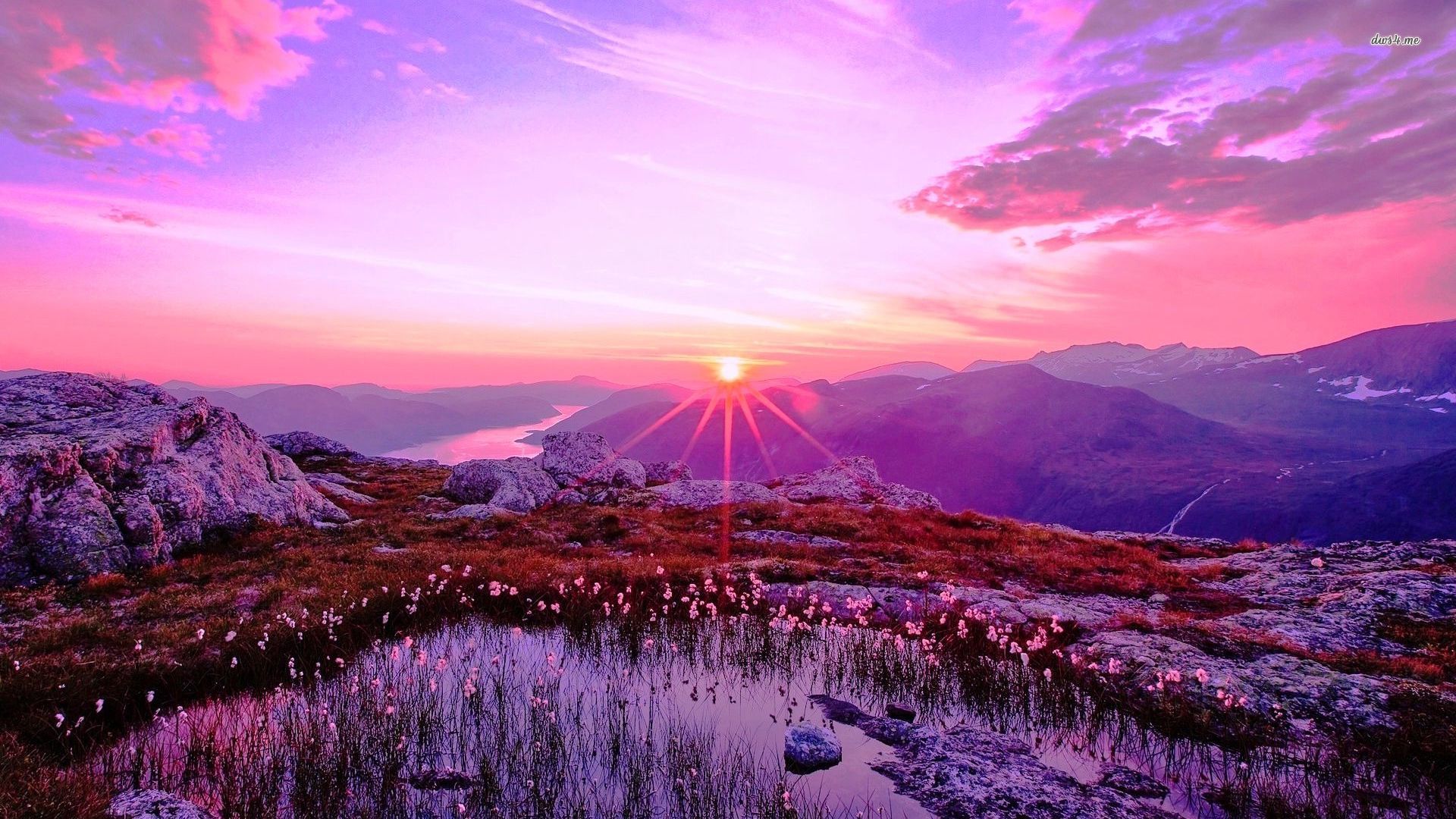 Purple Cool Sunrise Wallpapers