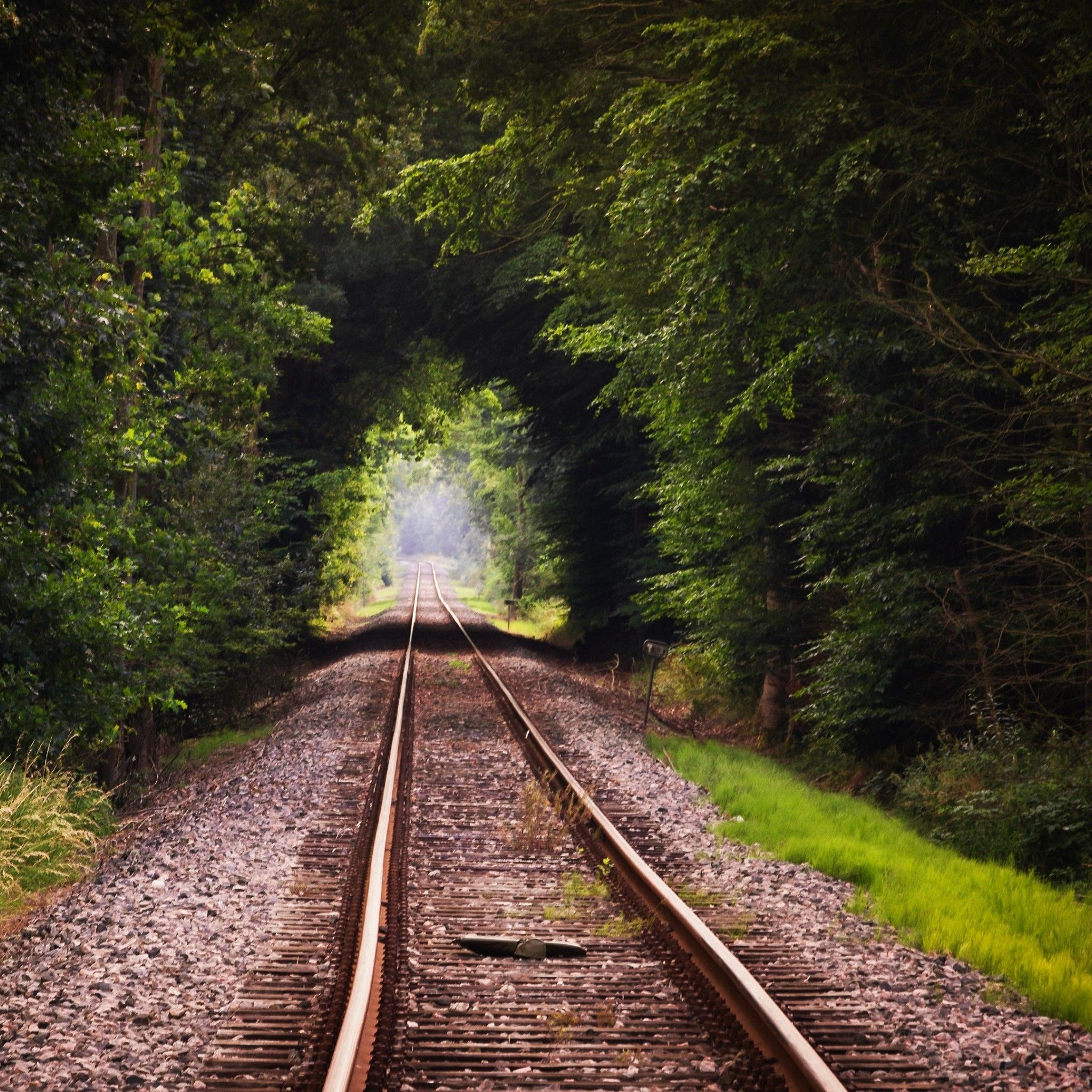 Railroad Forest Surrounding Wallpapers