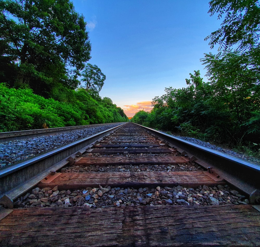 Railroad Forest Surrounding Wallpapers