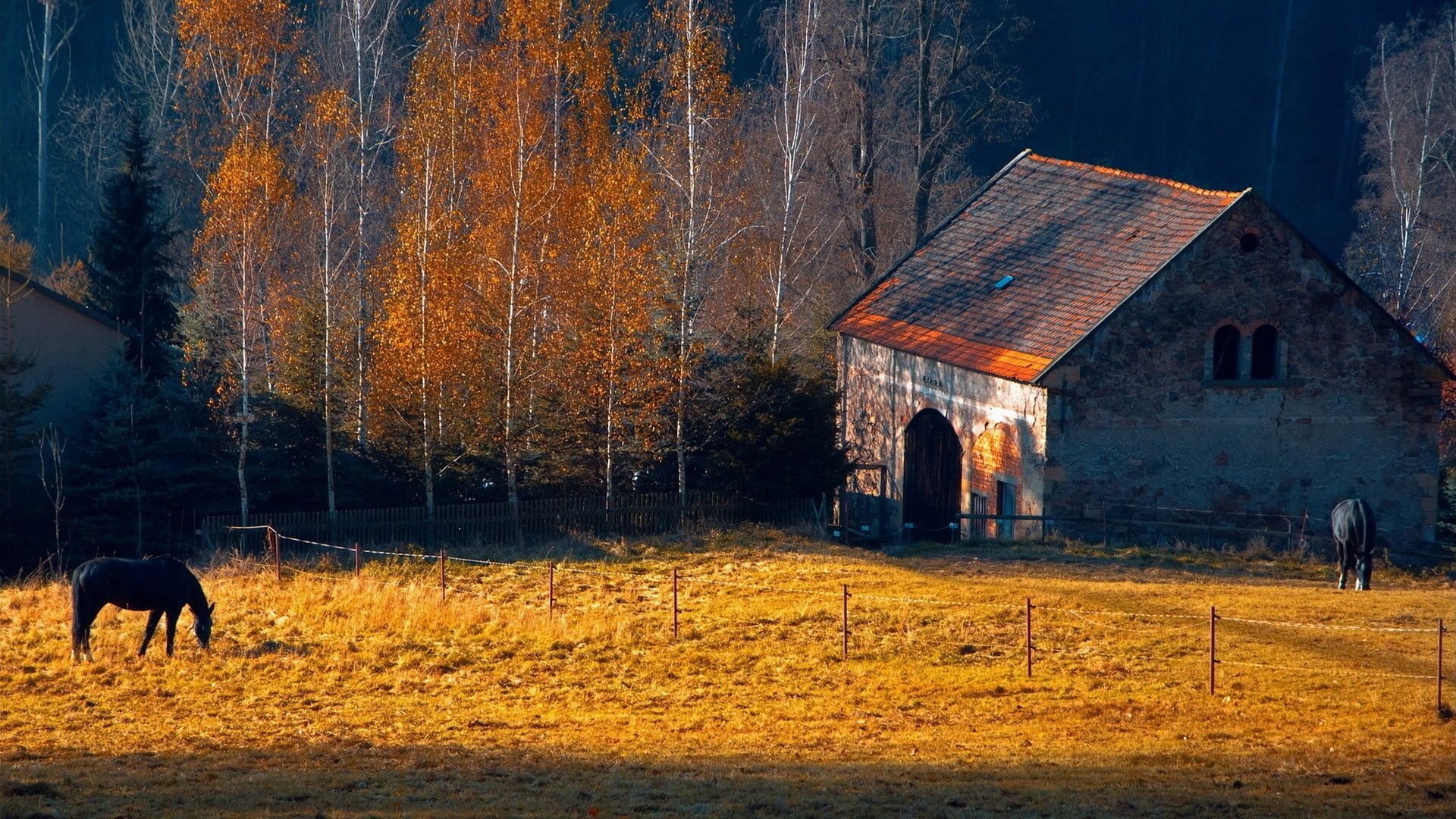 Ranch In Fall Wallpapers