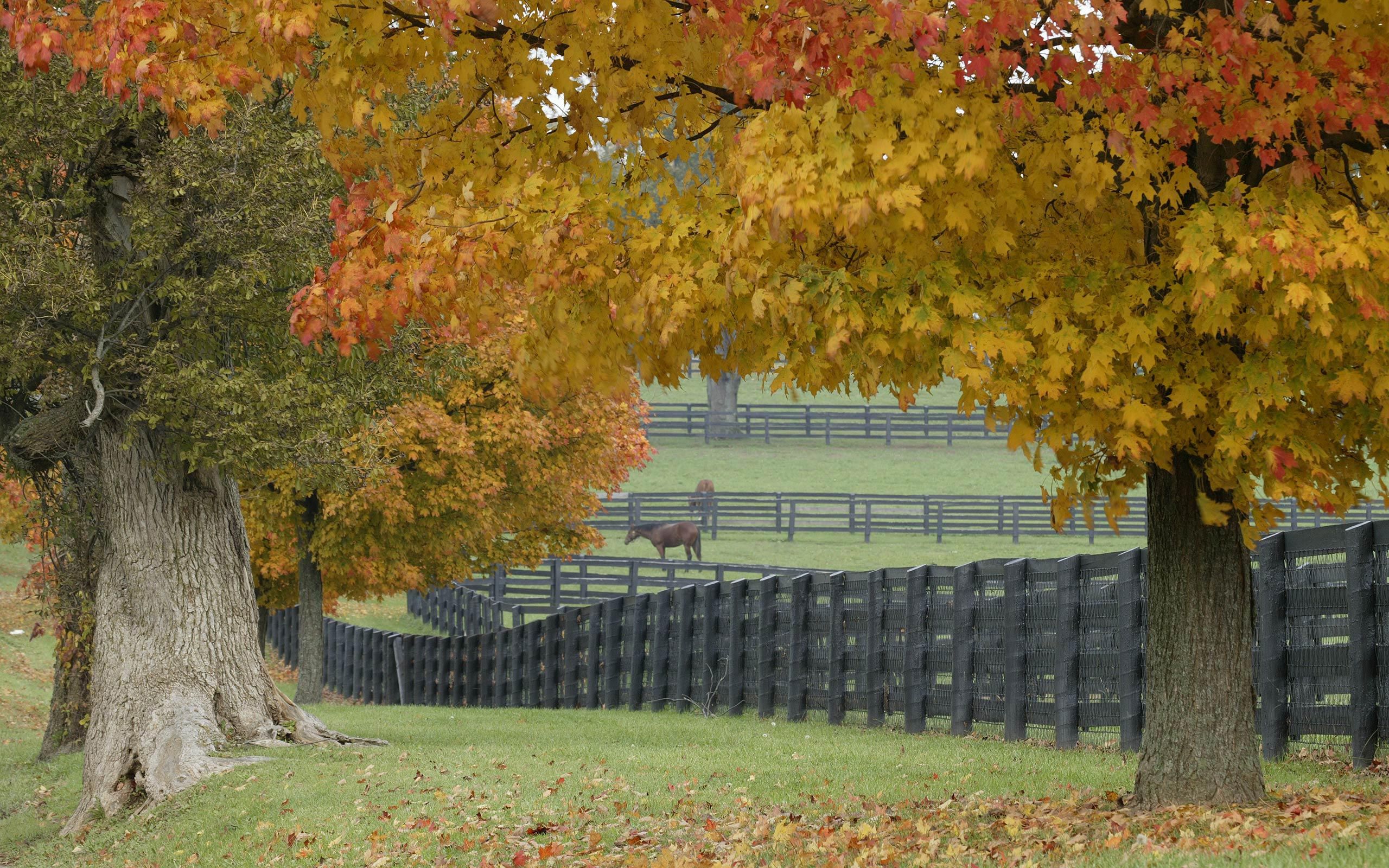 Ranch In Fall Wallpapers