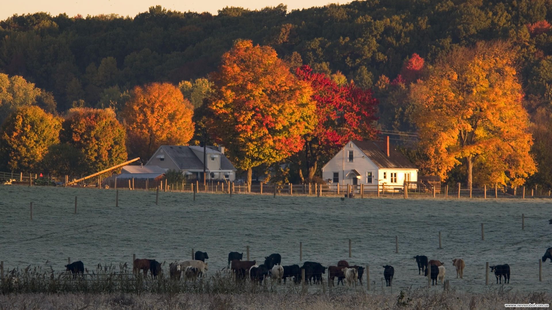 Ranch In Fall Wallpapers