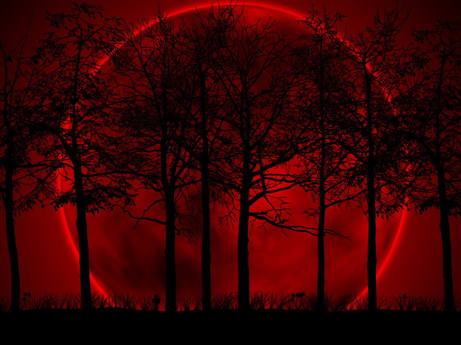 Red Forest Wallpapers