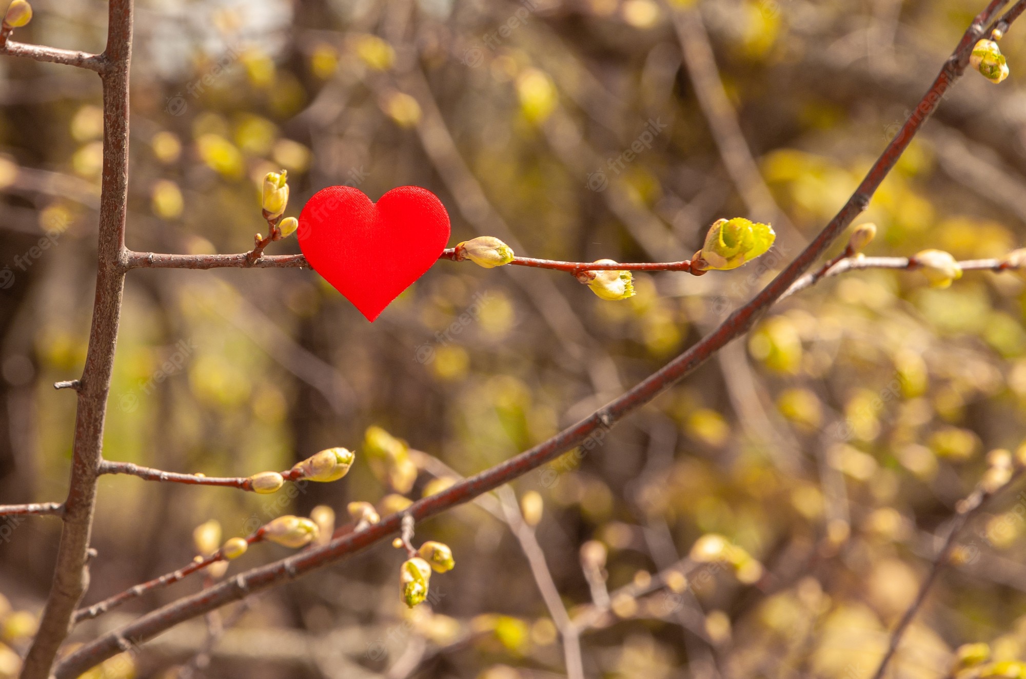 Red Heart Tree Wallpapers