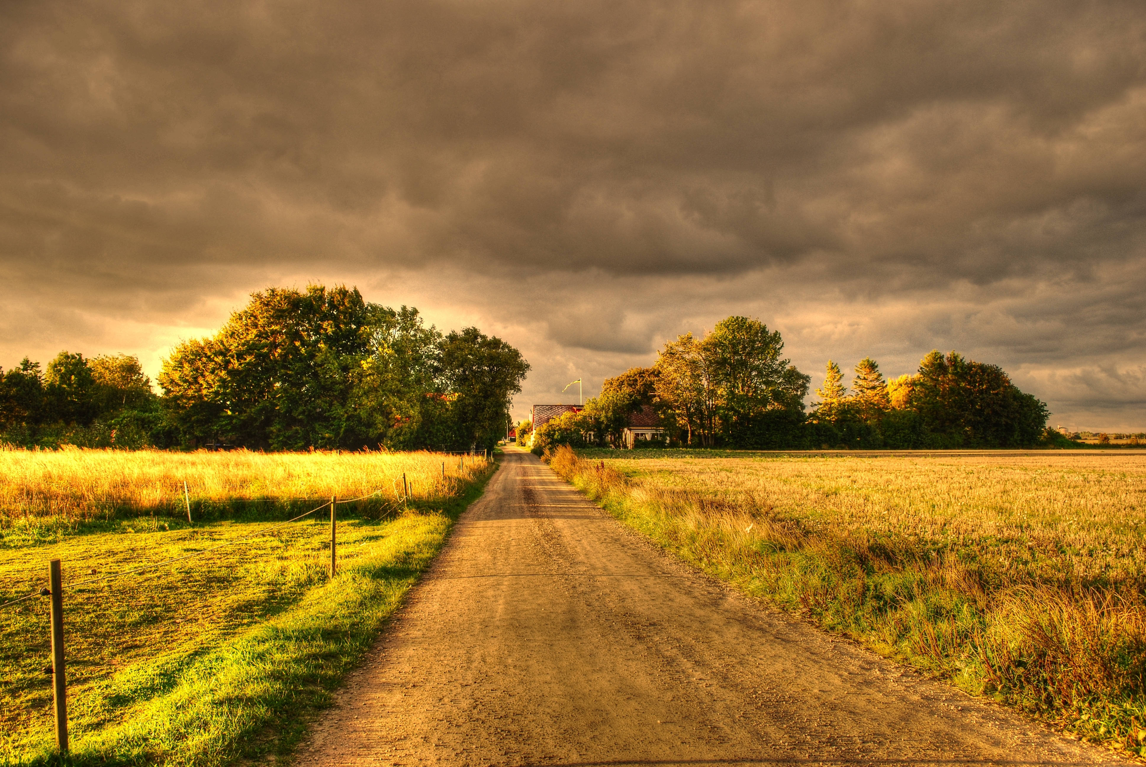 Road Between Green Yellow Autumn Fall Field Wallpapers