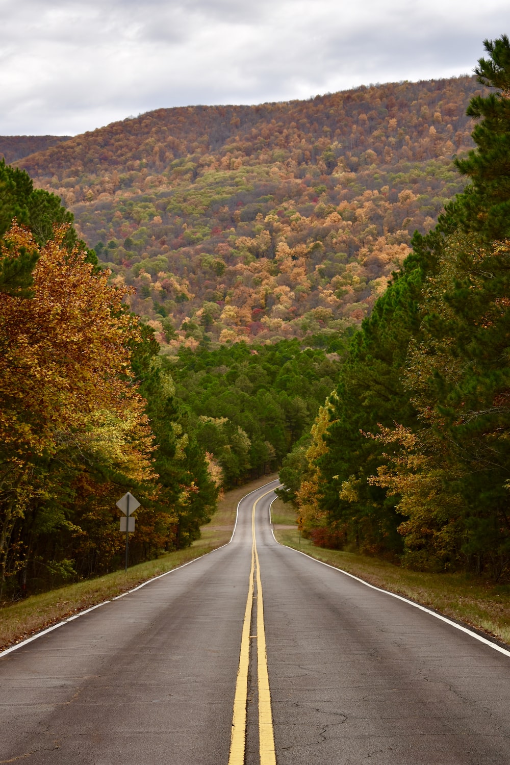 Road Between Green Yellow Autumn Fall Field Wallpapers