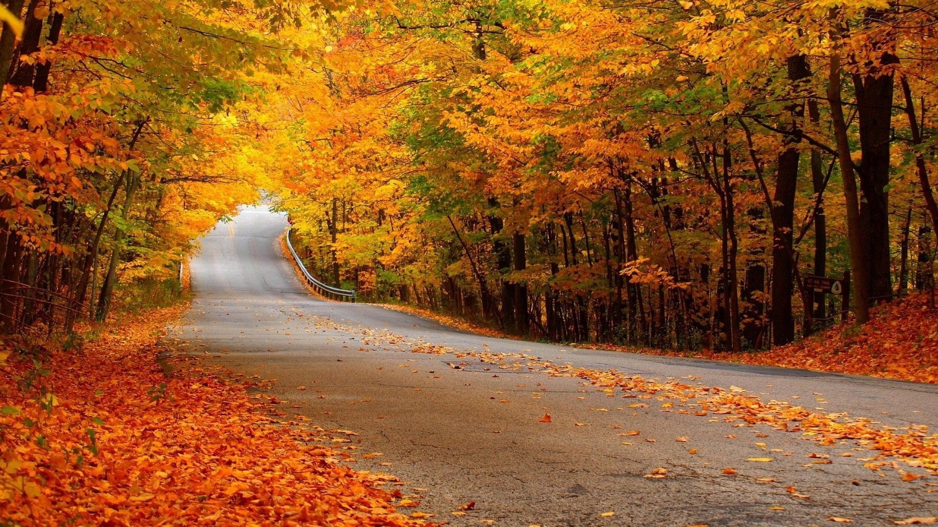 Road Between Green Yellow Autumn Fall Field Wallpapers