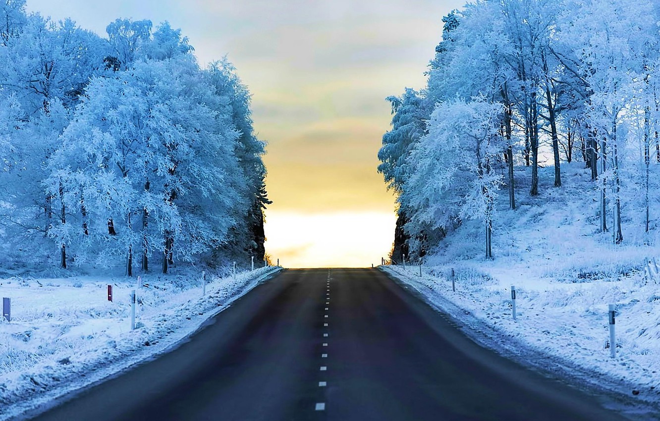 Road Between Snow Covered Trees Wallpapers