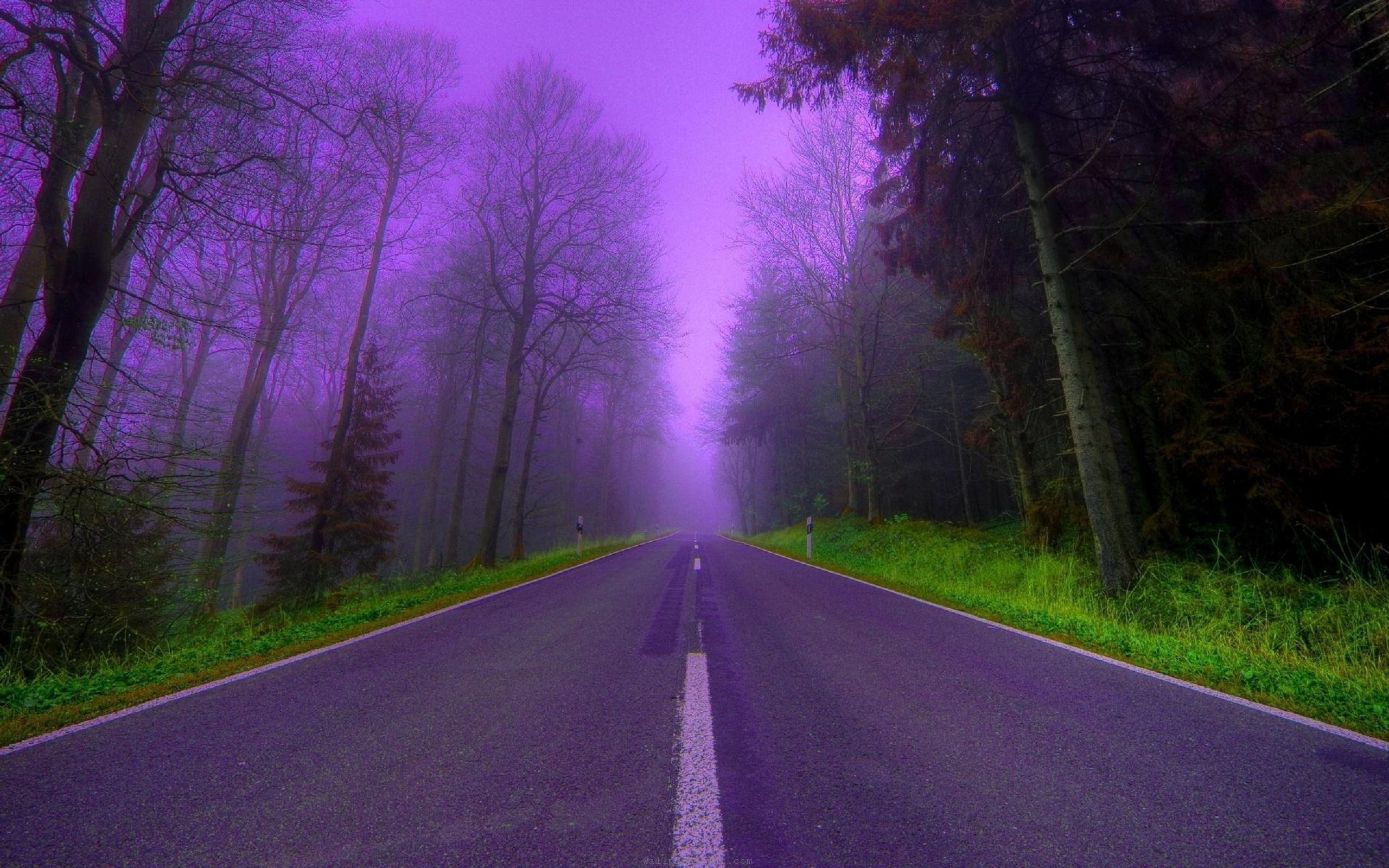 Road Purple Trees Wallpapers