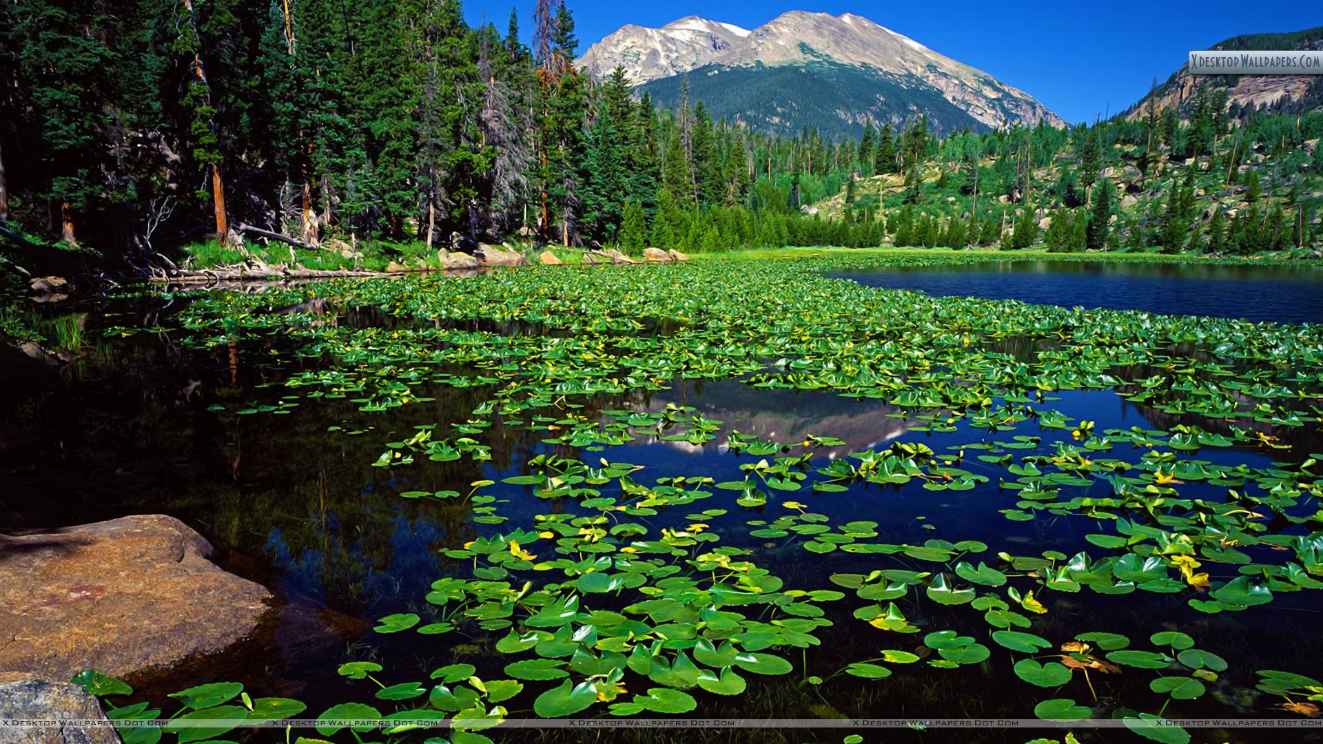 Rocky Mountains National Park Wallpapers