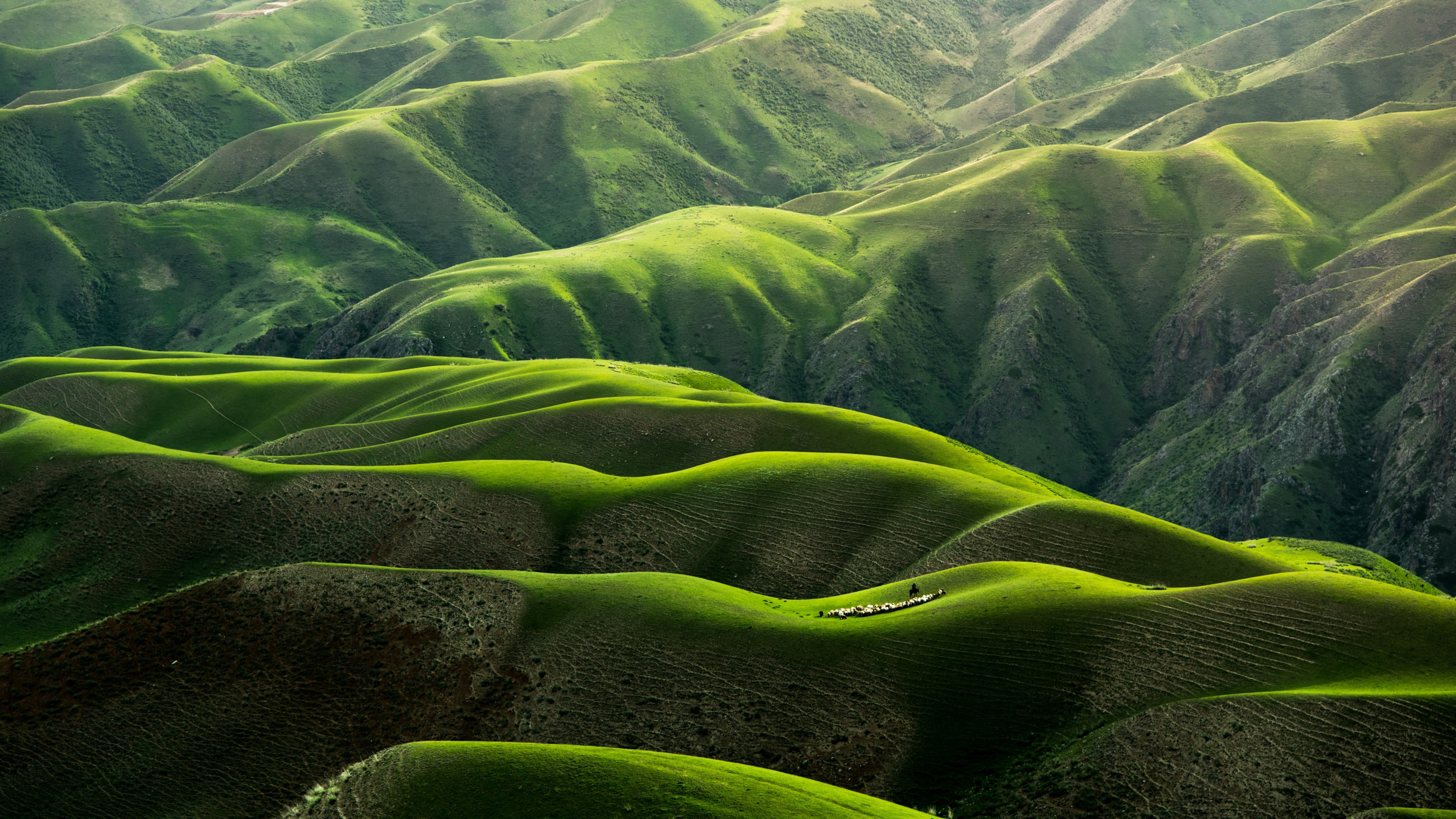 Rolling Green Hills Wallpapers