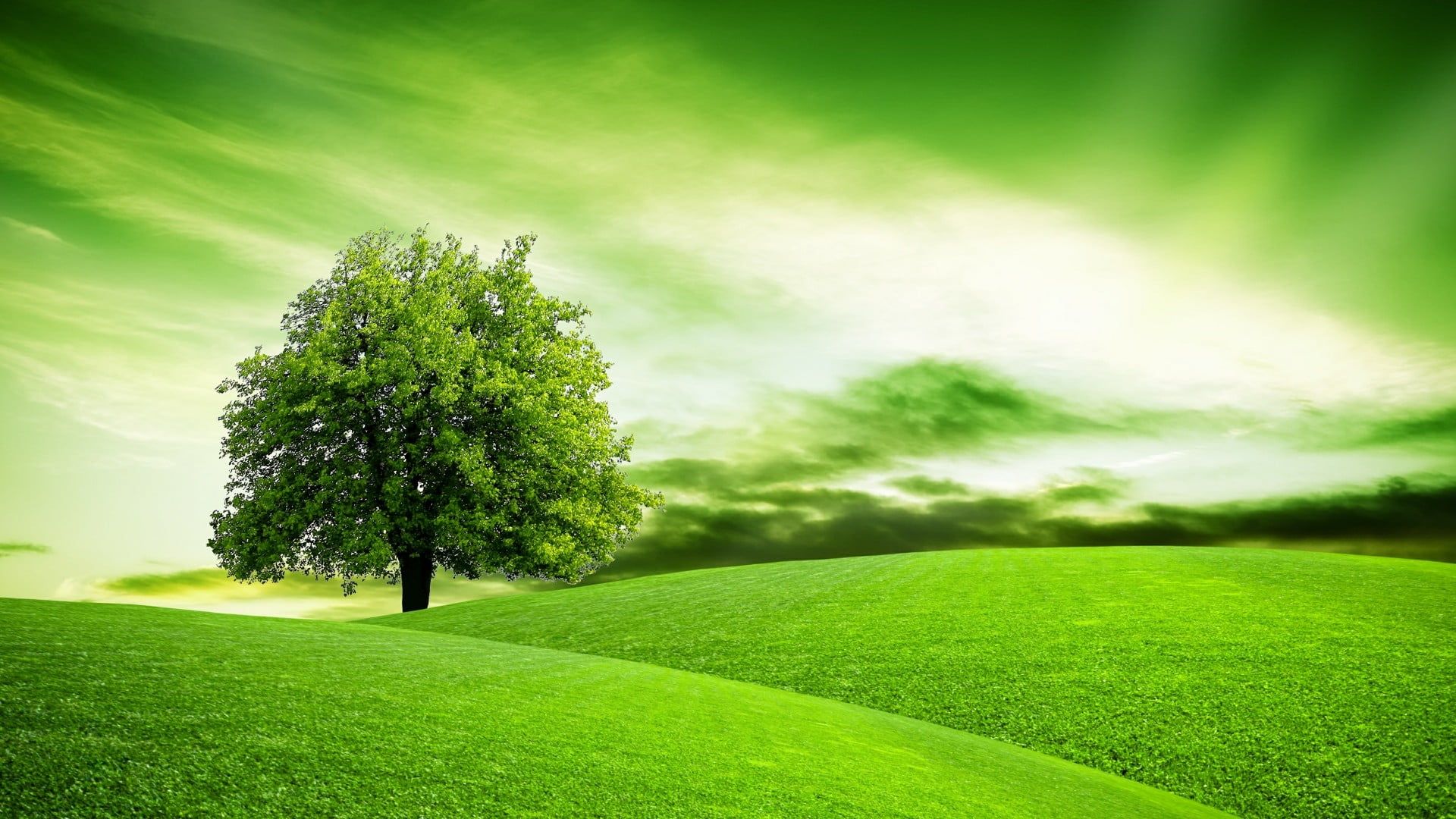 Rolling Green Hills Wallpapers