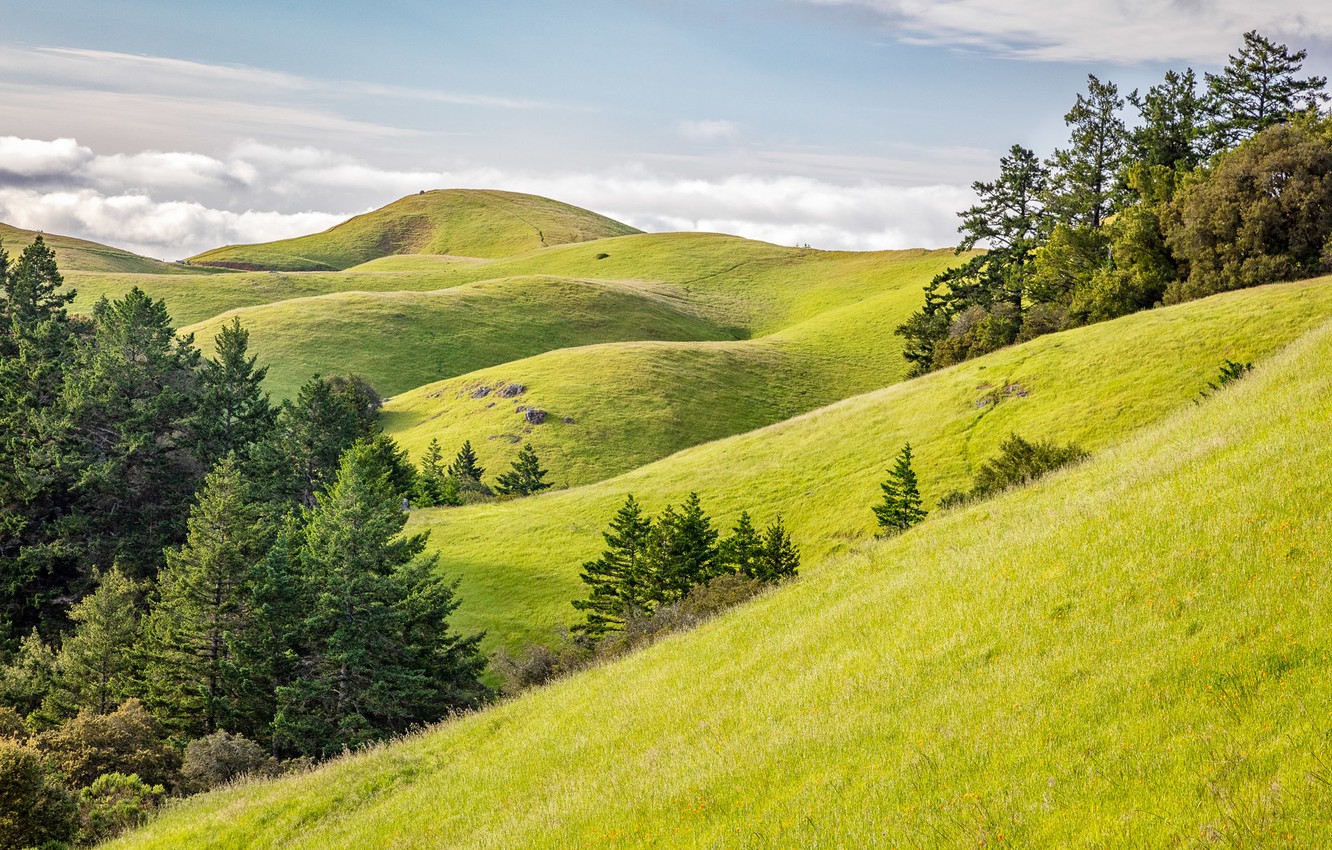 Rolling Green Hills Wallpapers