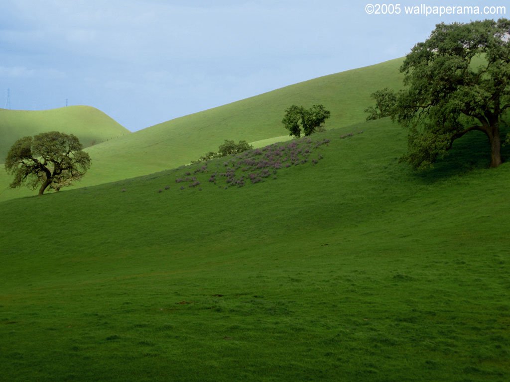 Rolling Green Hills Wallpapers