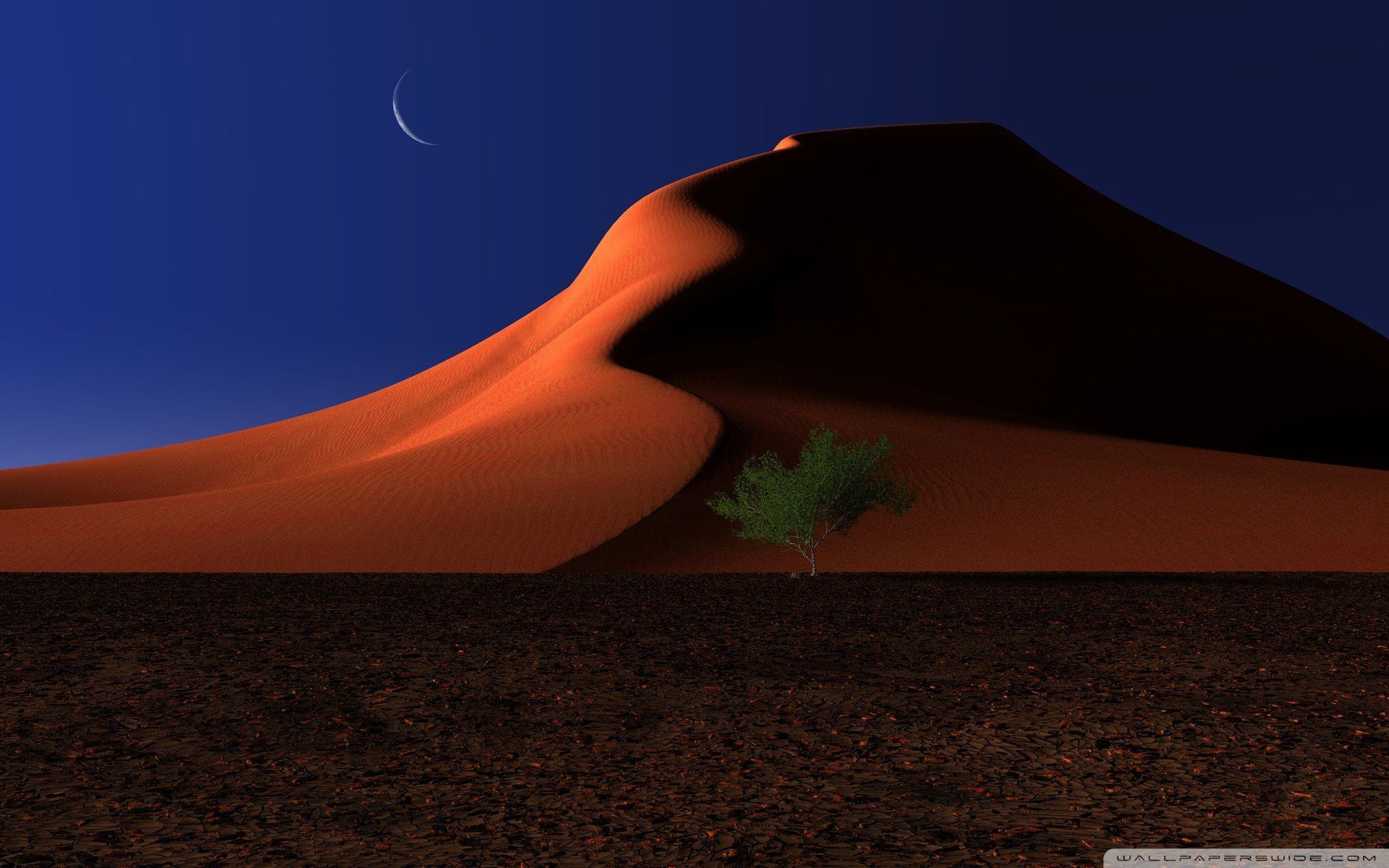 Sahara Desert In Scenery Night Wallpapers