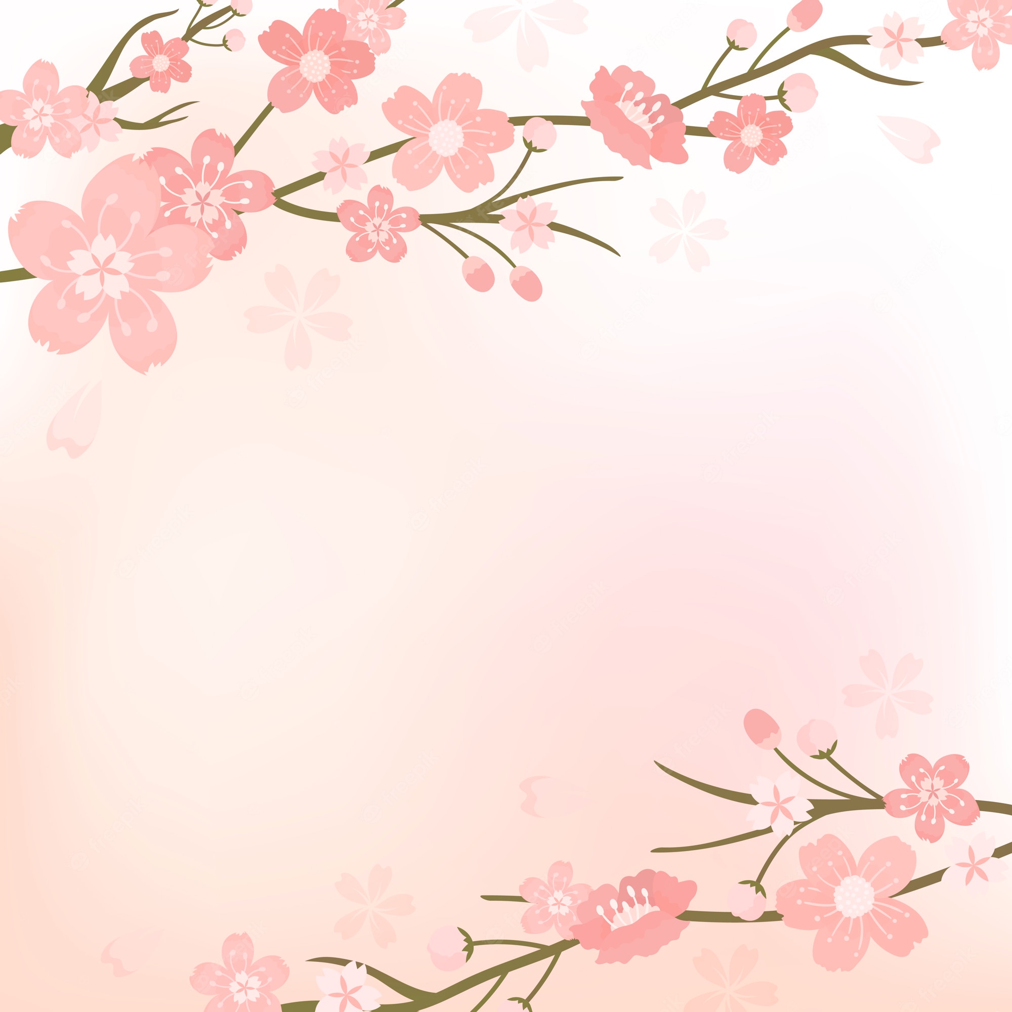 Sakura Wallpapers