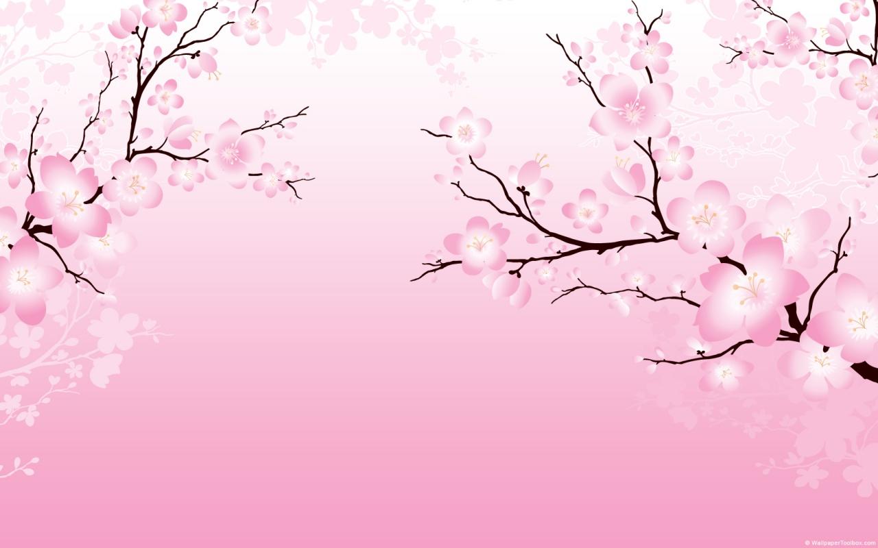 Sakura Flower Wallpapers