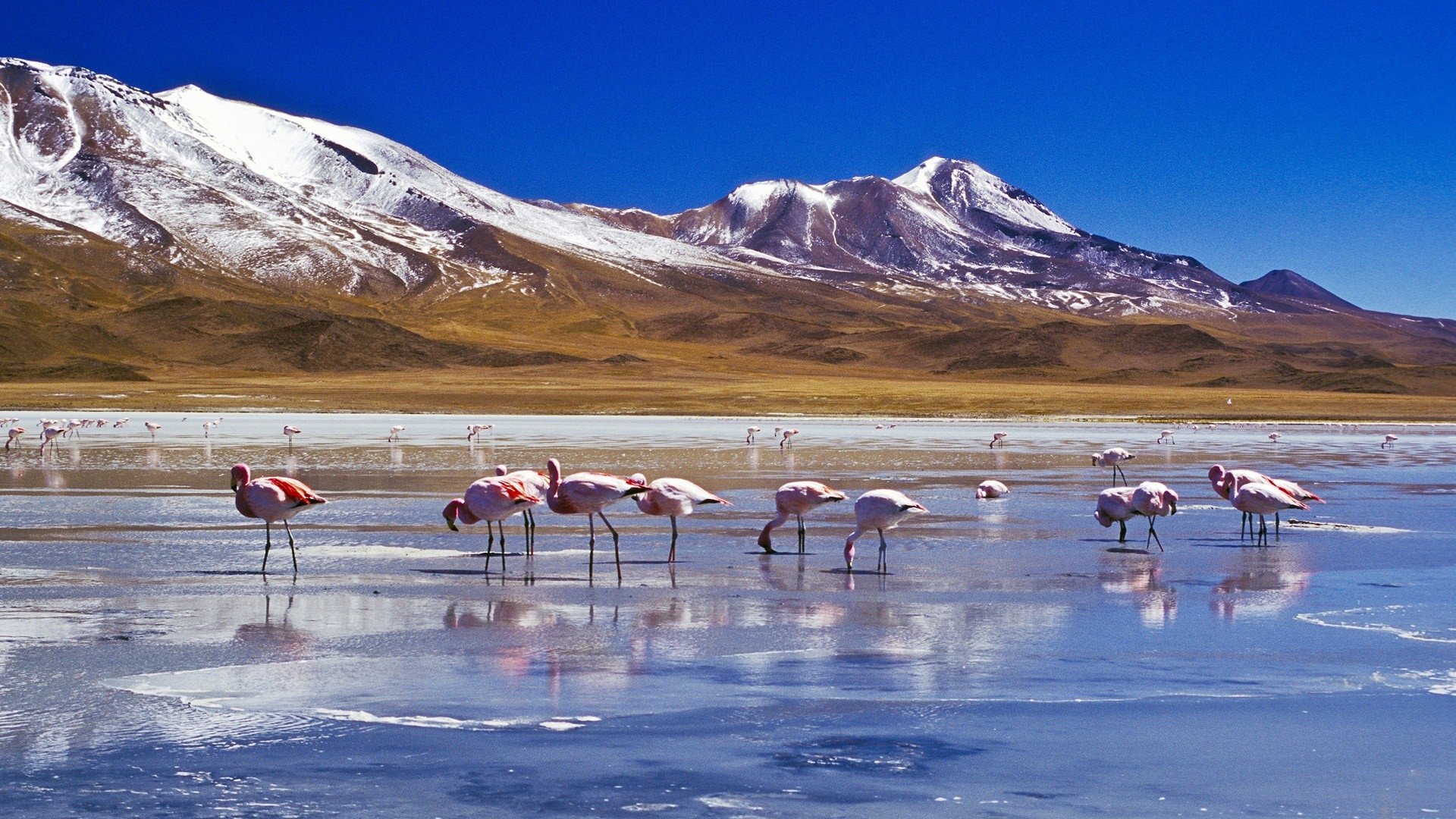 Salar De Uyuni Wallpapers