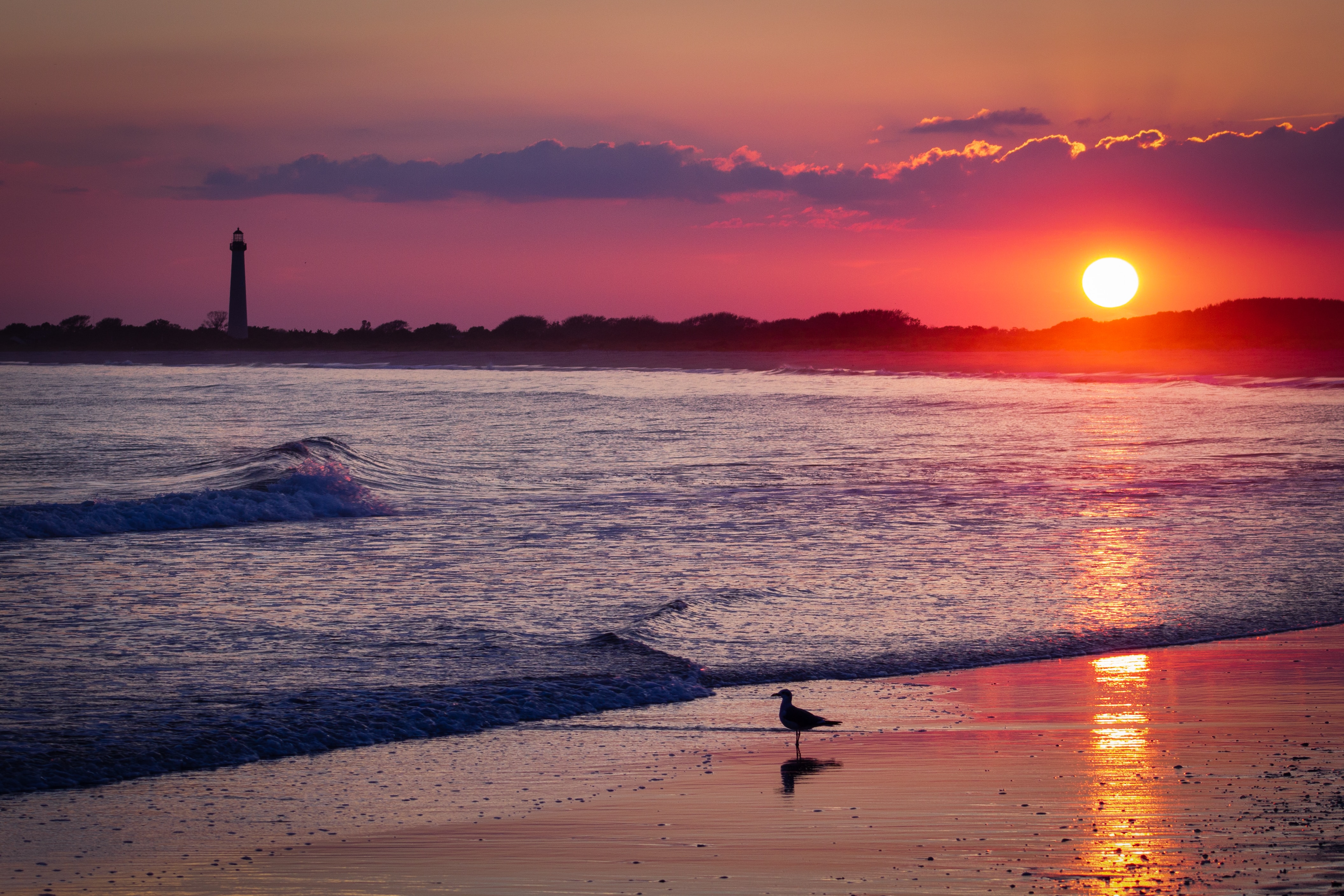 Sea Sunset Shore Birds Wallpapers