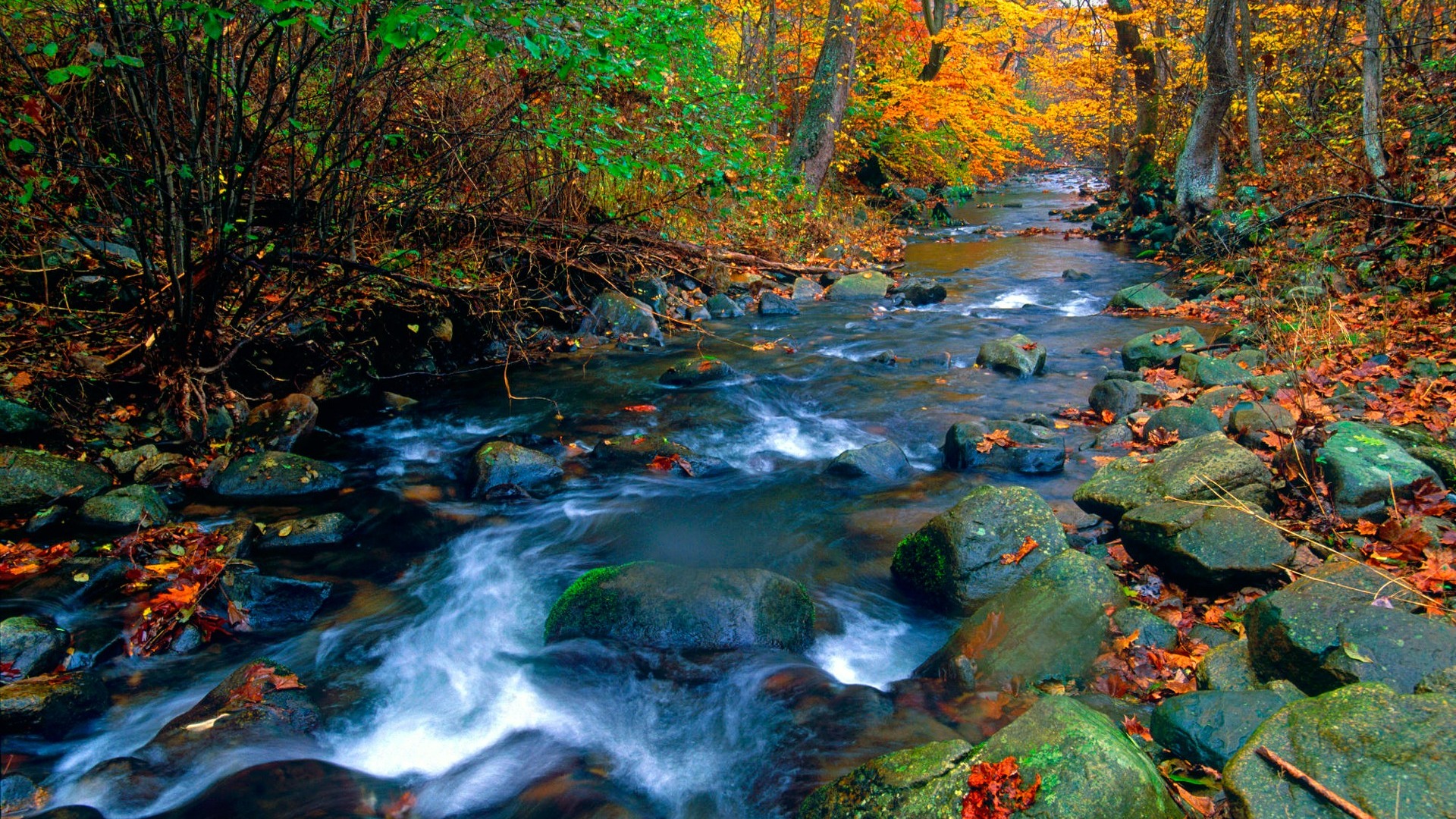 Shenandoah National Park Wallpapers