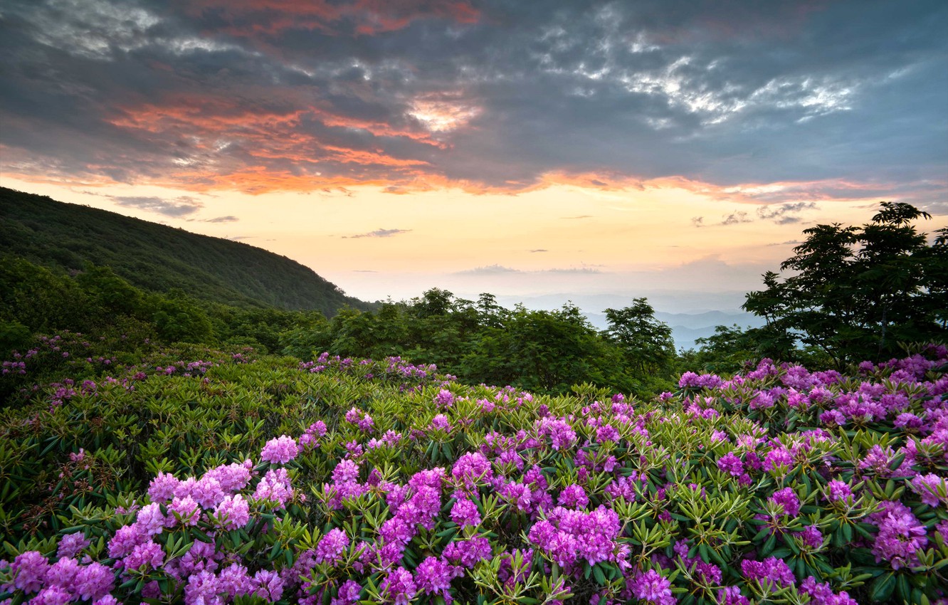 Shenandoah National Park Wallpapers